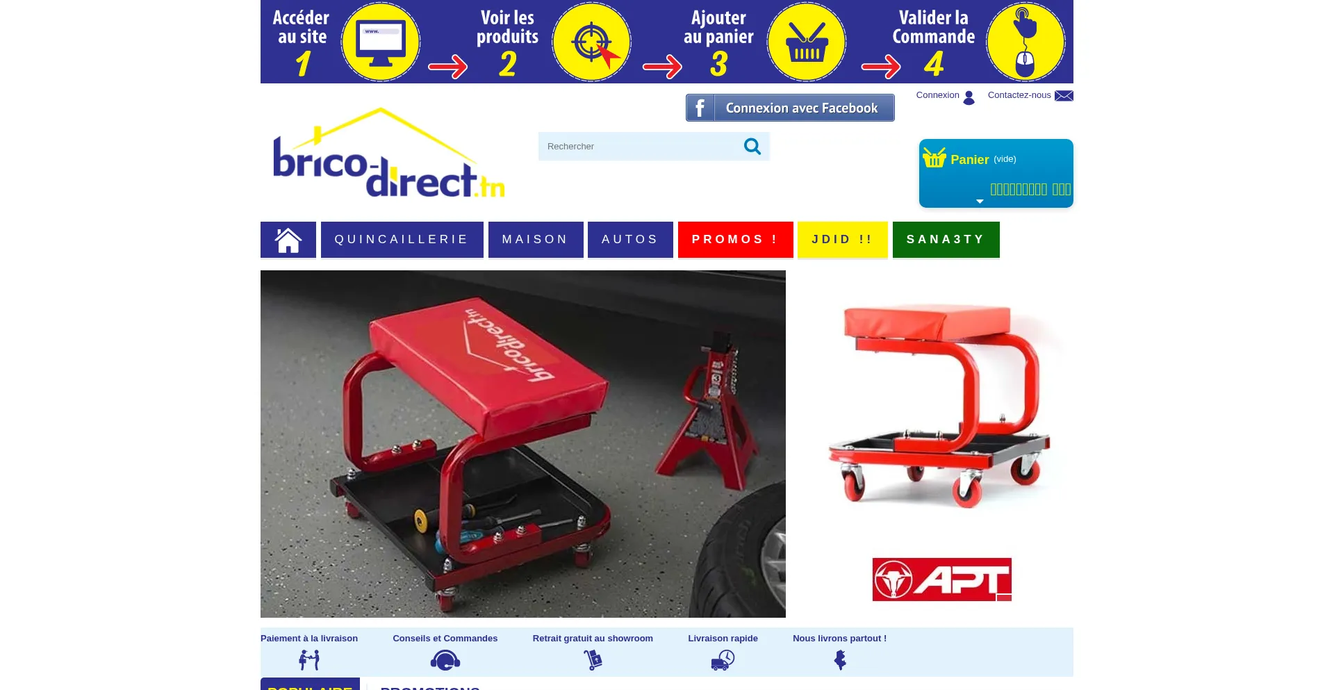 Website screenshot of Brico-direct.tn