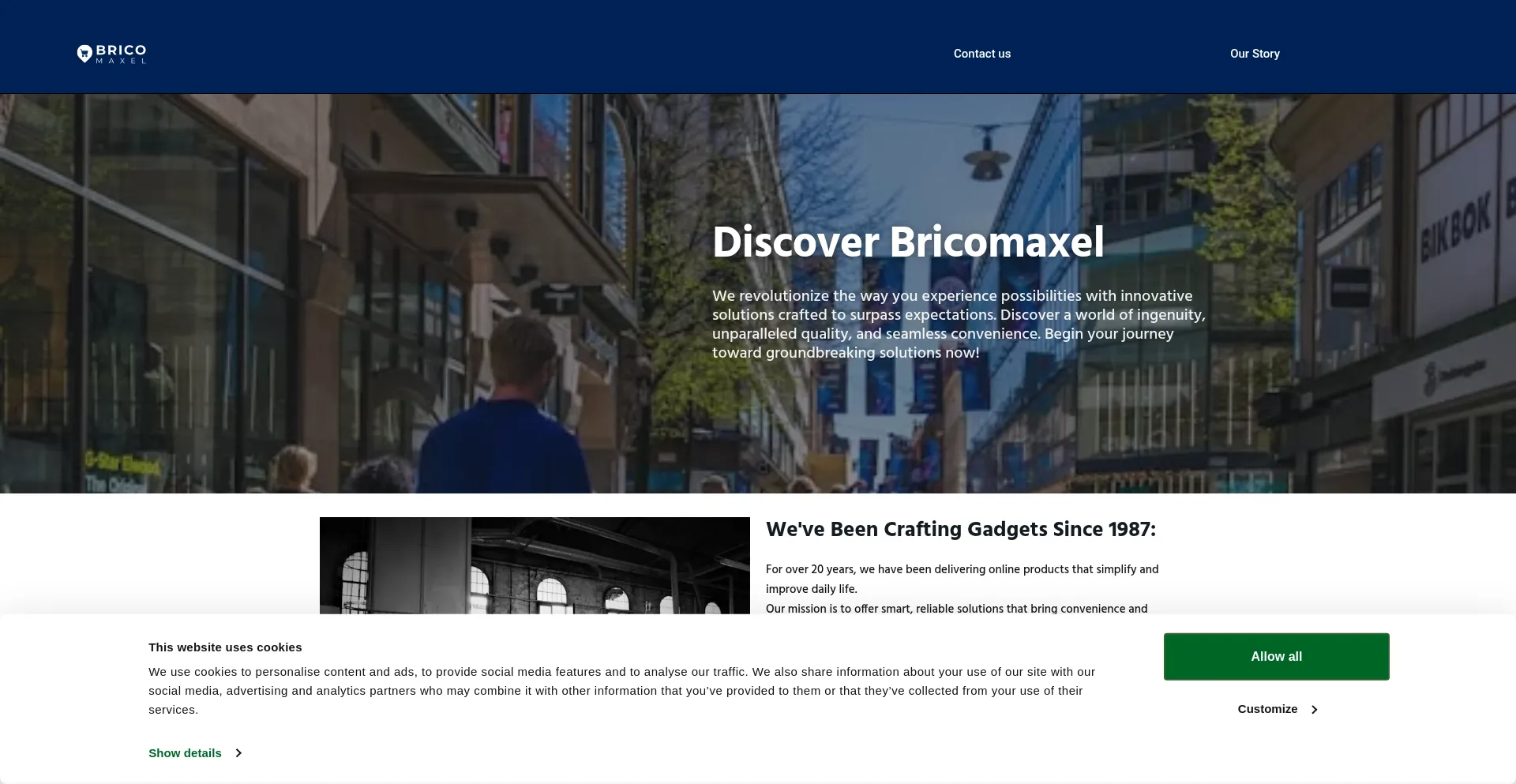 Website screenshot of Bricomaxel.com