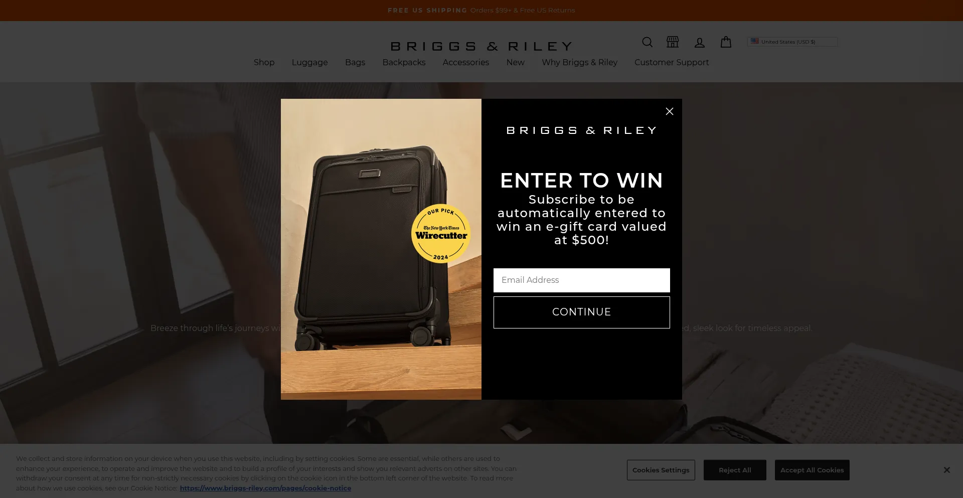 Website screenshot of Briggs-riley.com