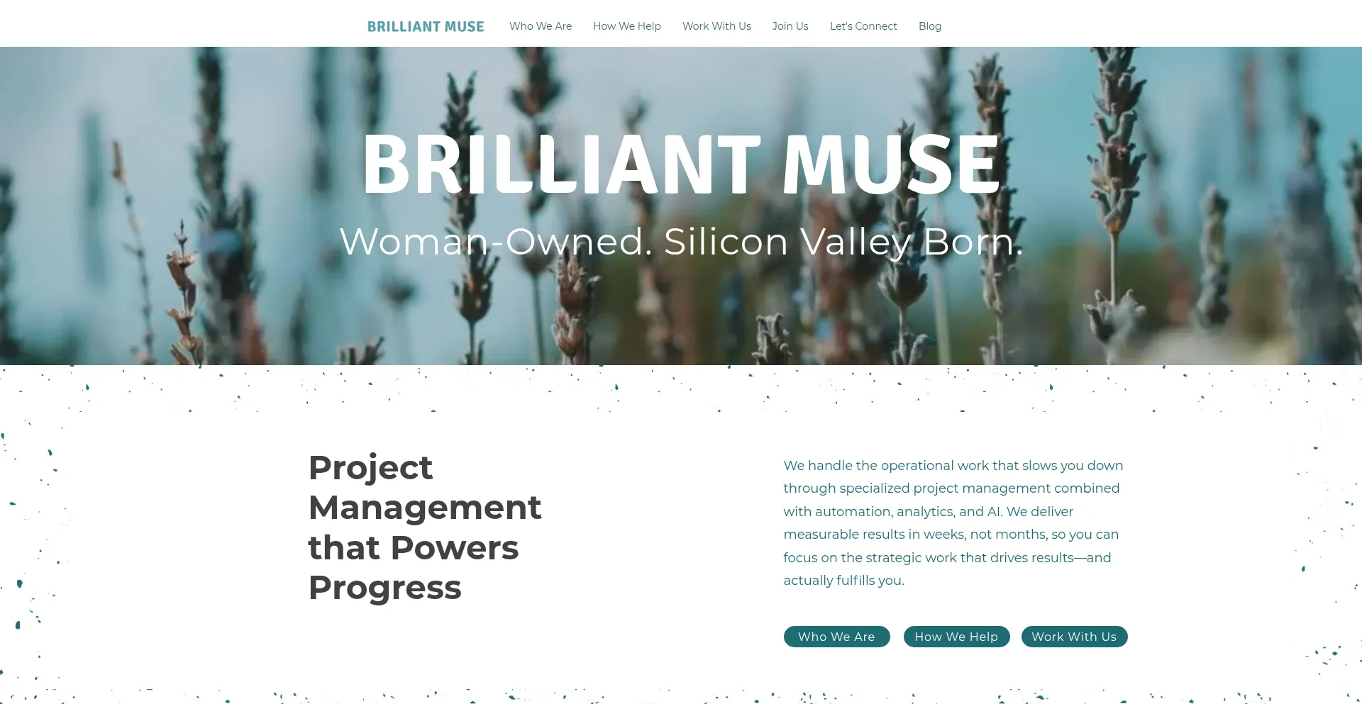 Brilliantmuse.com