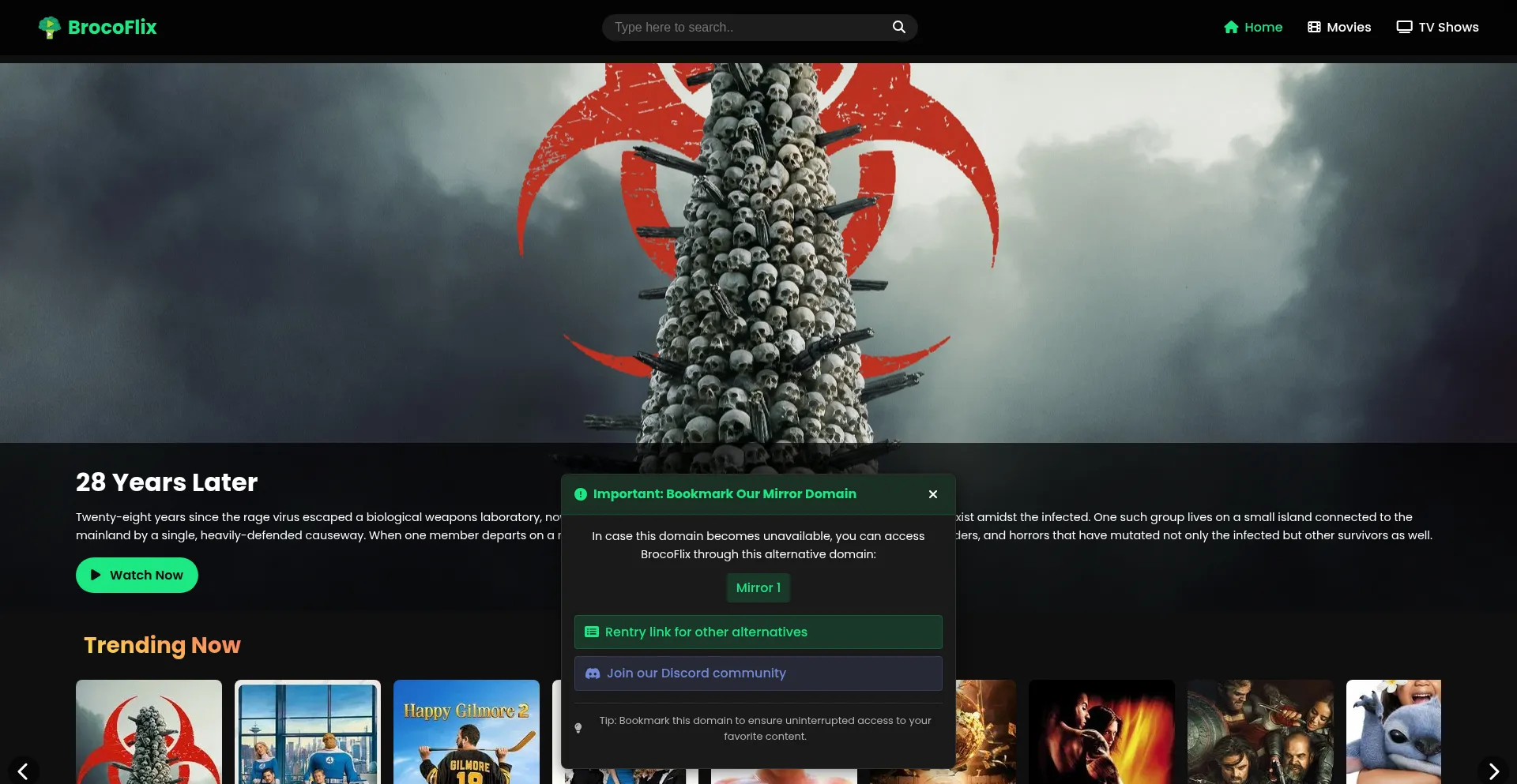 Website screenshot of Brocoflix.com