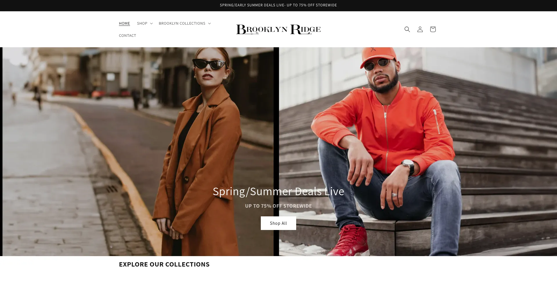 Website screenshot of Brooklynridge.com