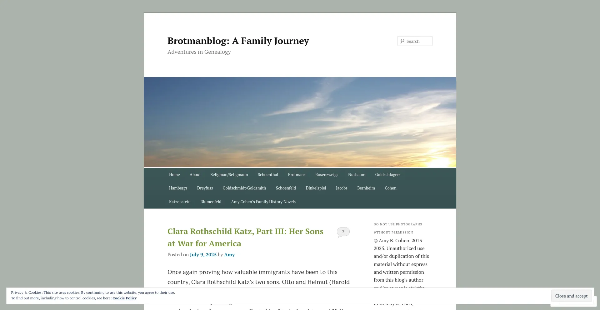 Website screenshot of Brotmanblog.com