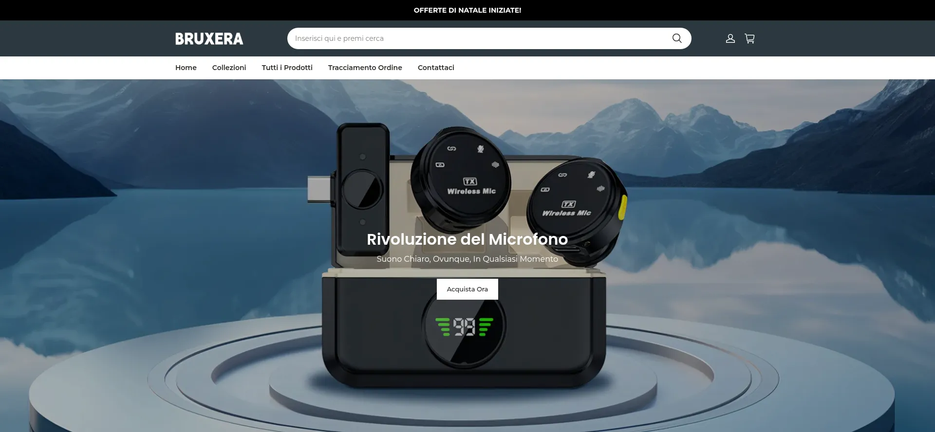 Website screenshot of Bruxera.it