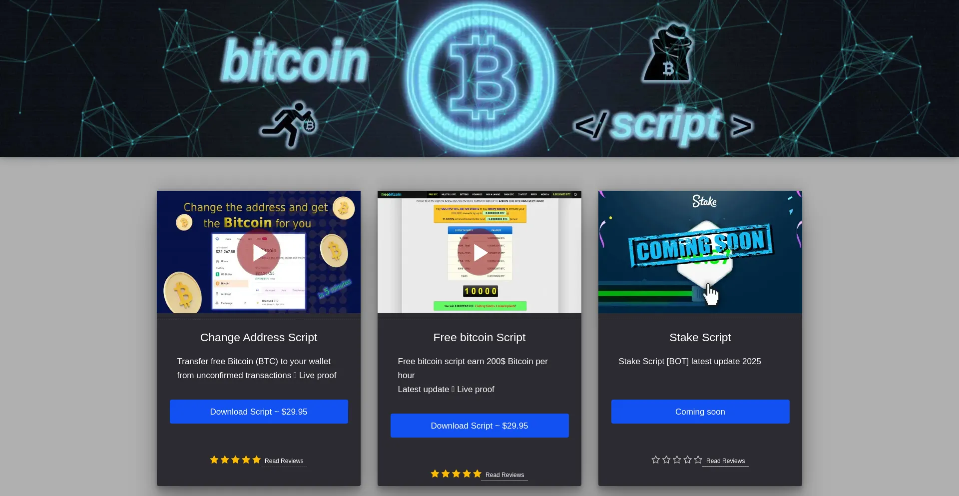 Website screenshot of Btcscript.net