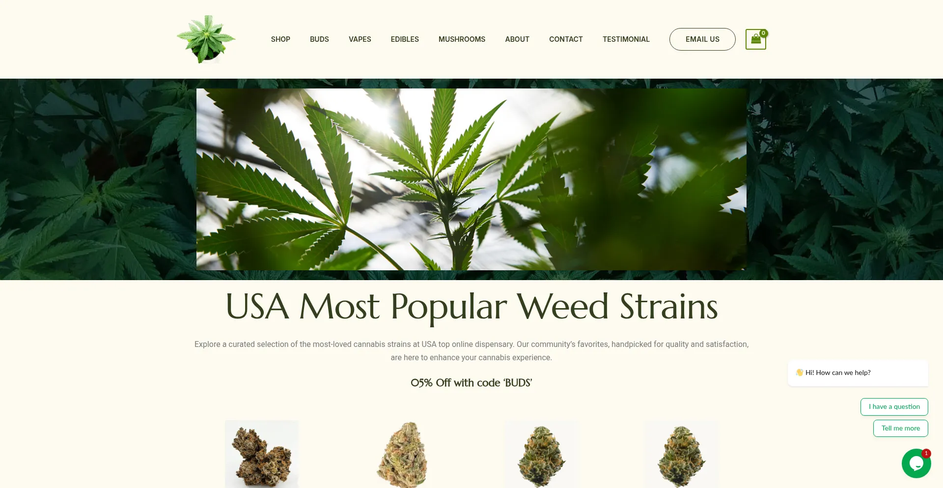 Budslane.com est-il Sûr et Fiable ?