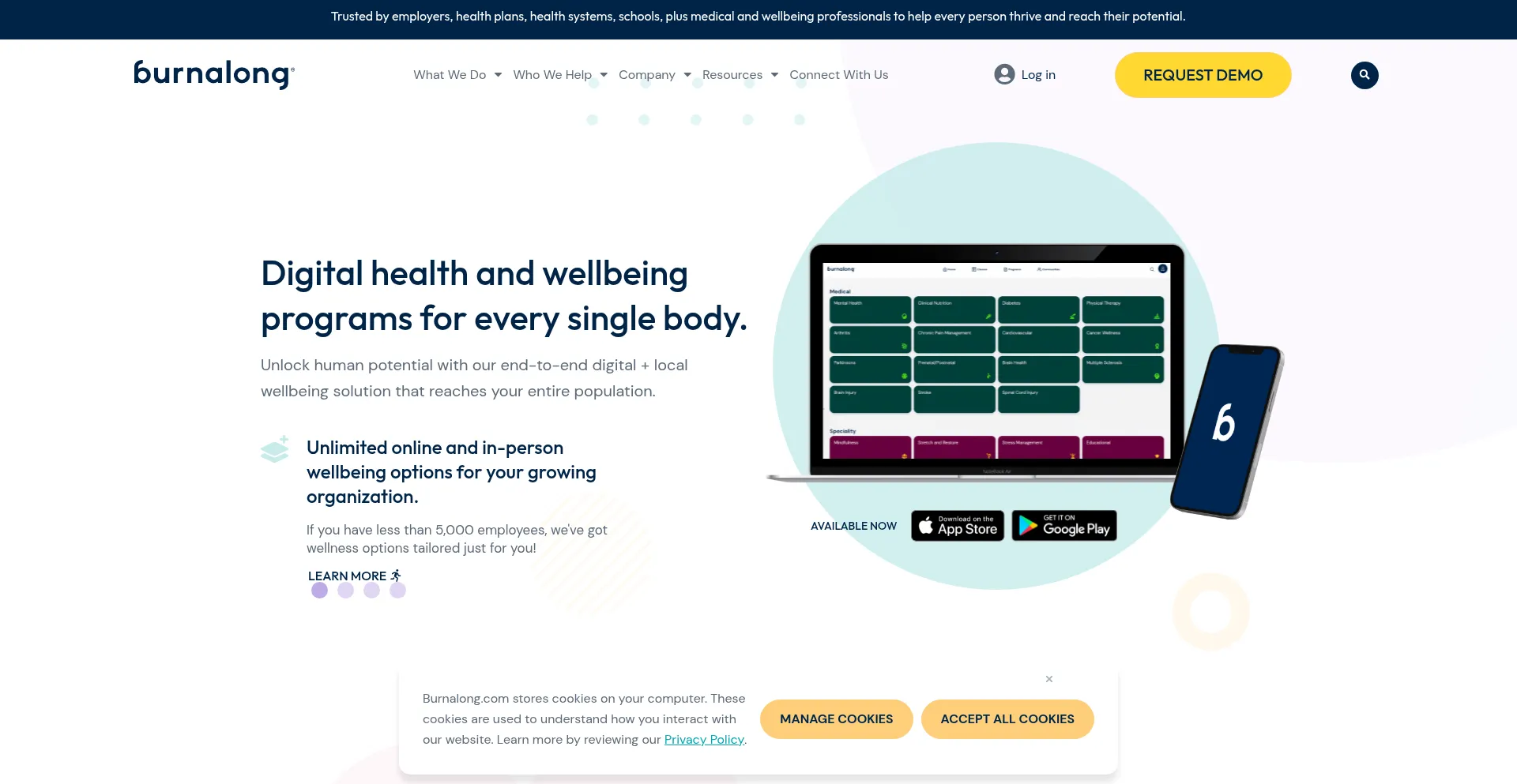 Website screenshot of Burnalong.com