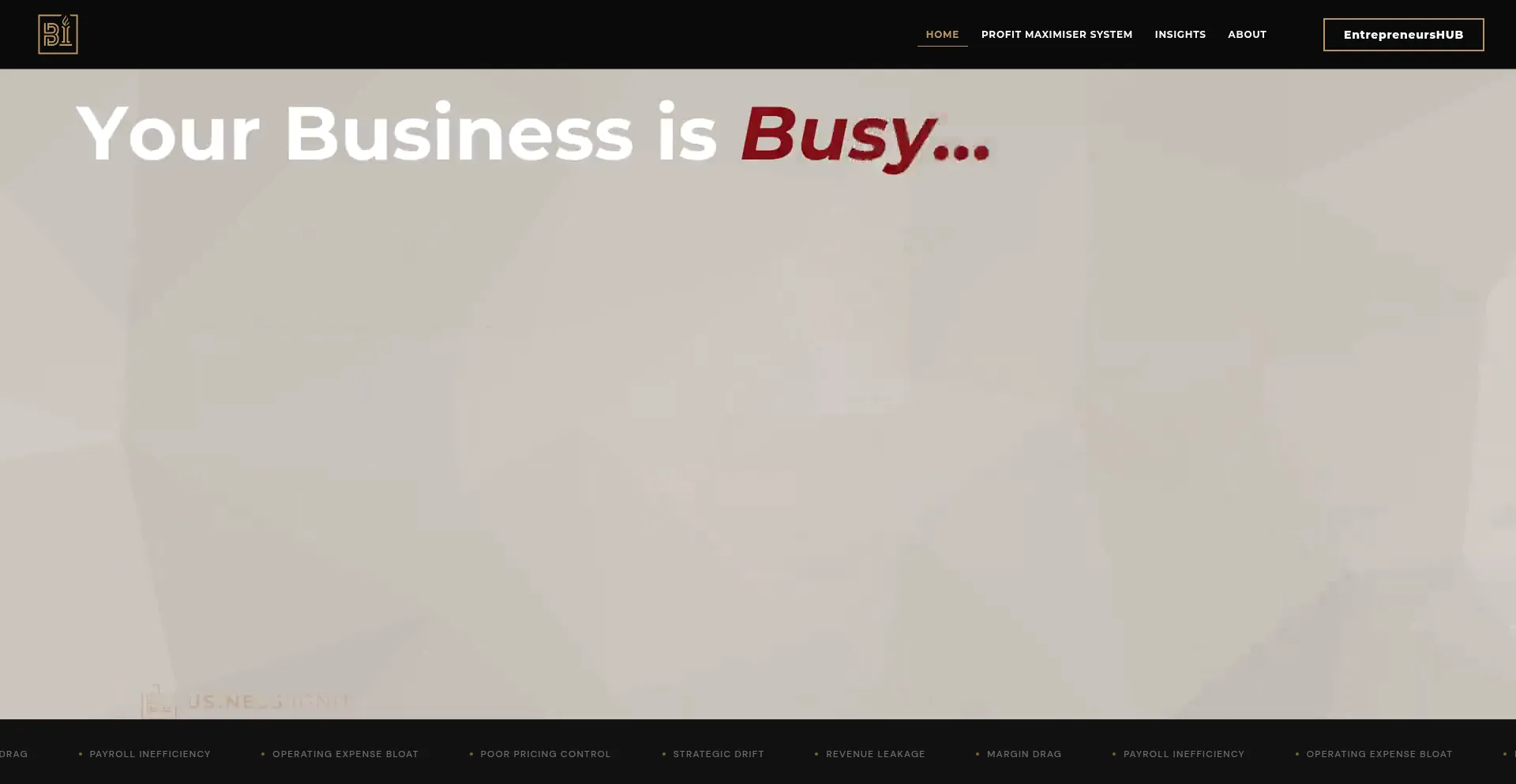 Businessignites.com