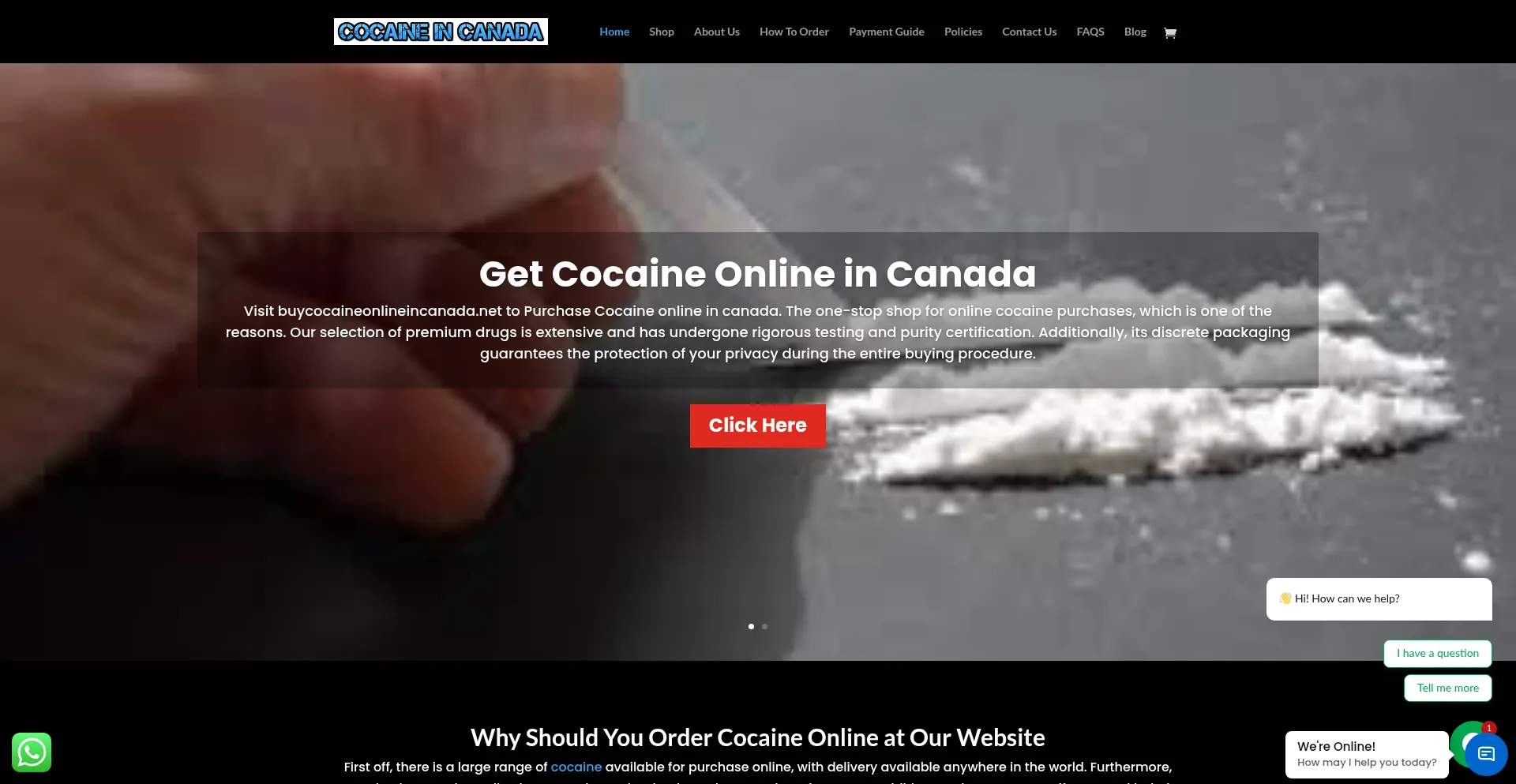 Buycocaineonlineincanada.net