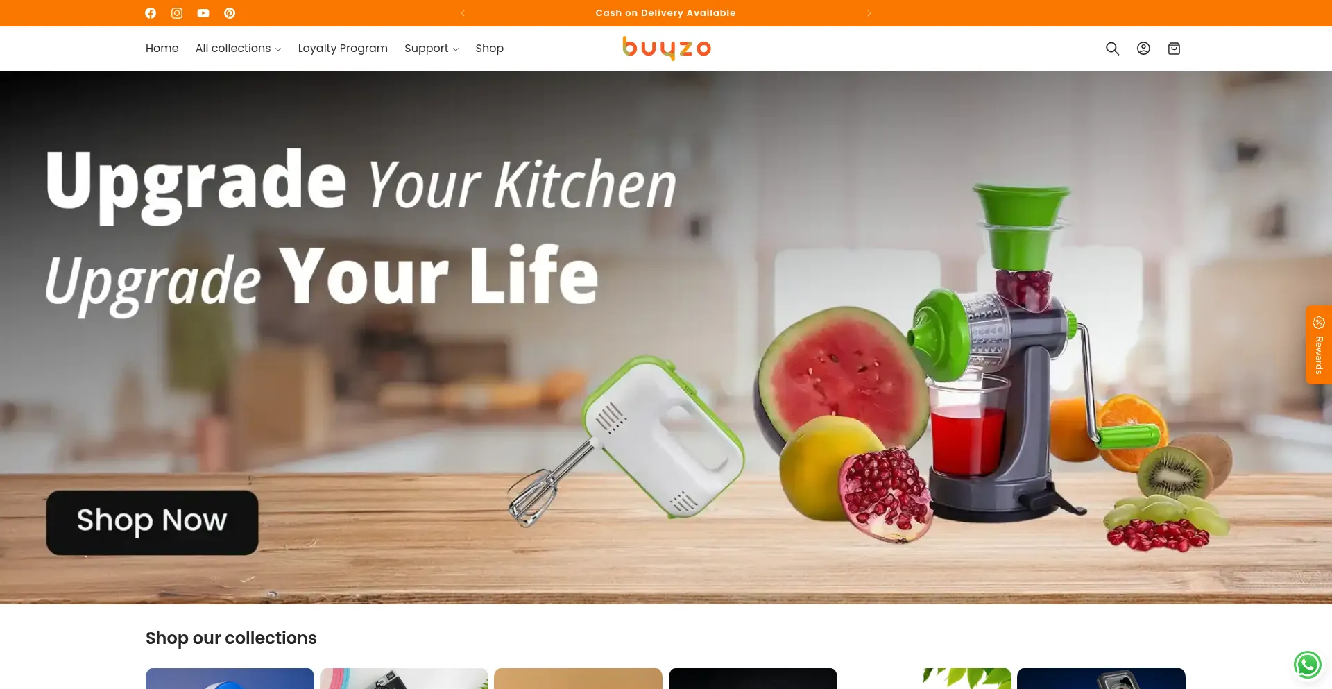 Buyzo.in est-il Sûr et Fiable ?