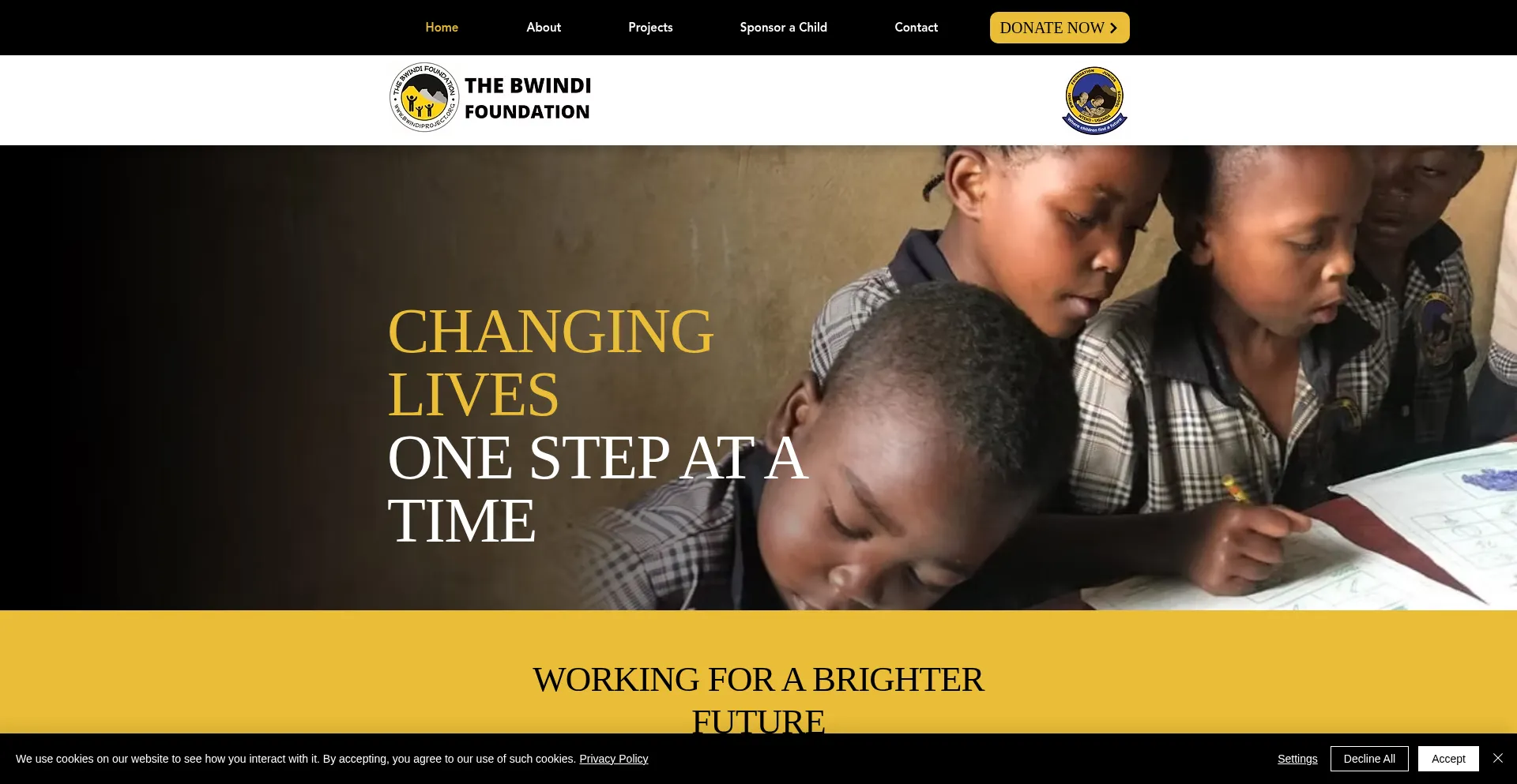Website screenshot of Bwindiproject.org