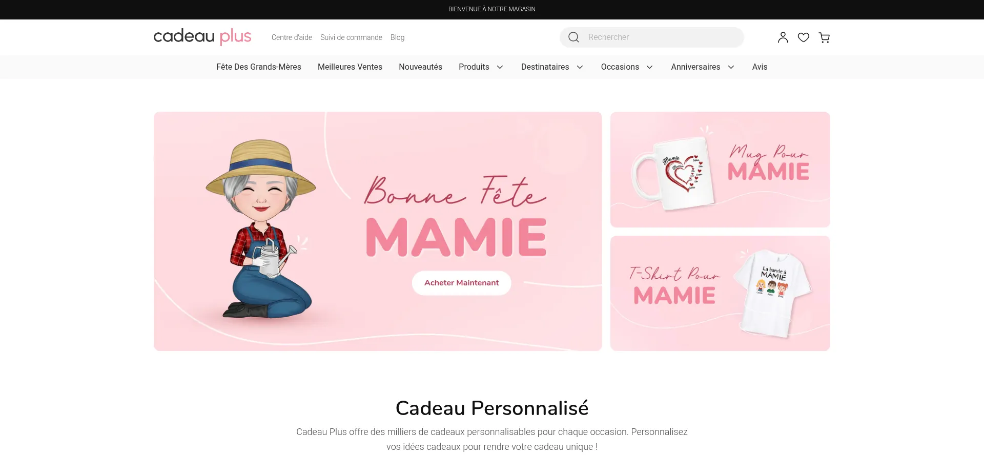 Website screenshot of Cadeauplus.com