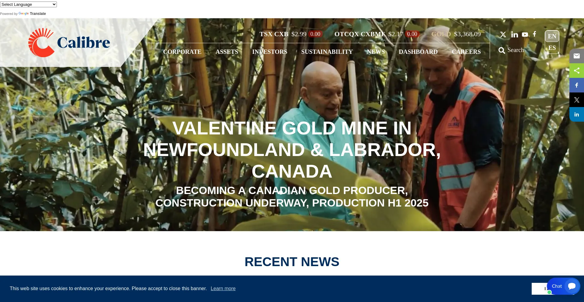 Website screenshot of Calibre-minings.com