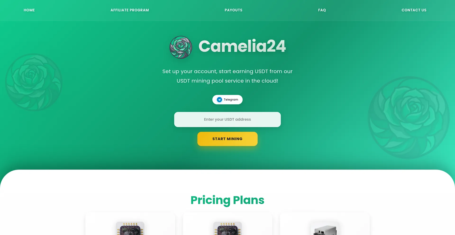 Camelia24.vip