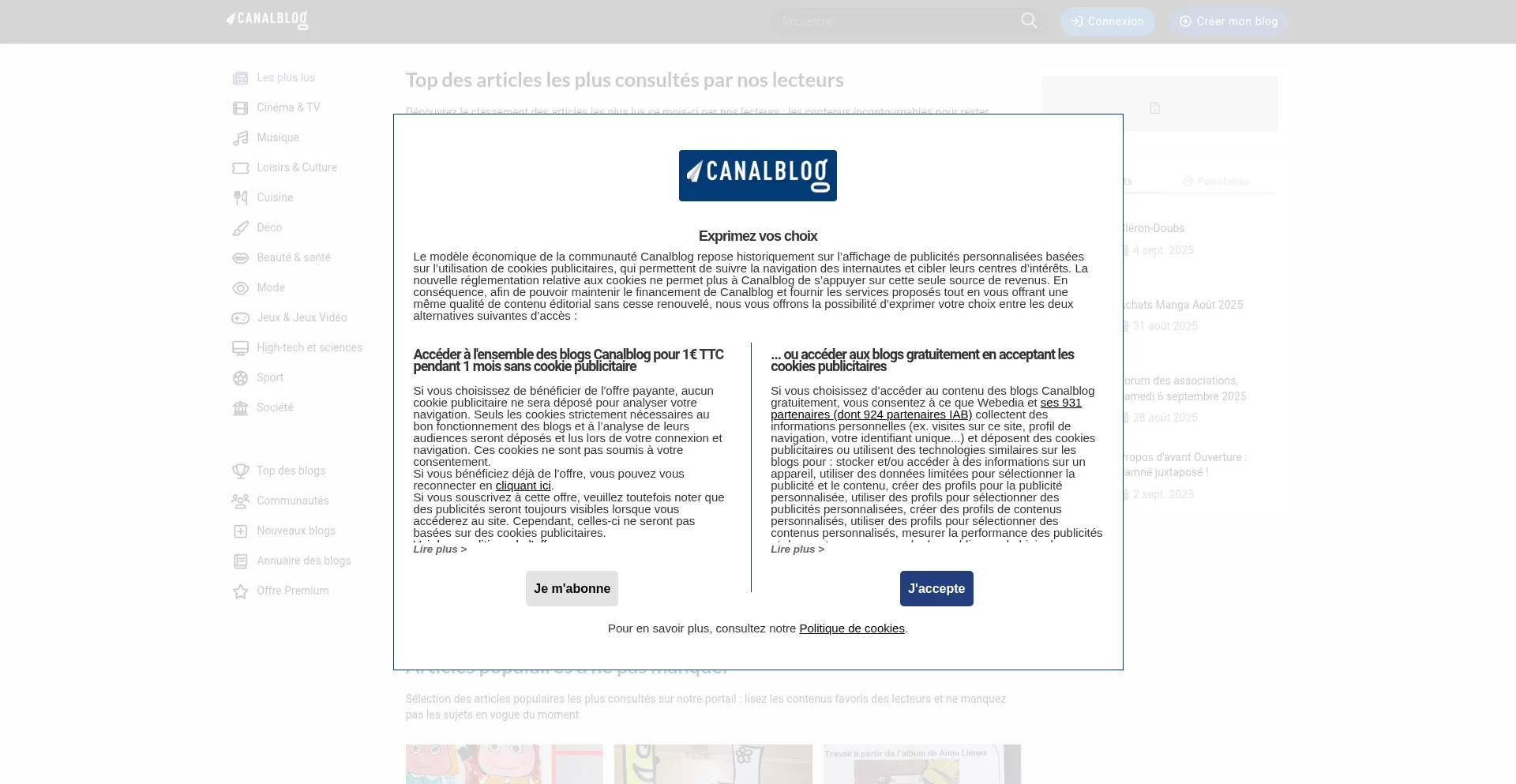 Website screenshot of Canalblog.com