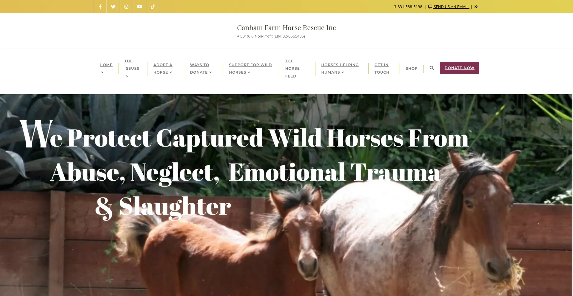 Canhamfarm.com est-il Sûr et Fiable ?