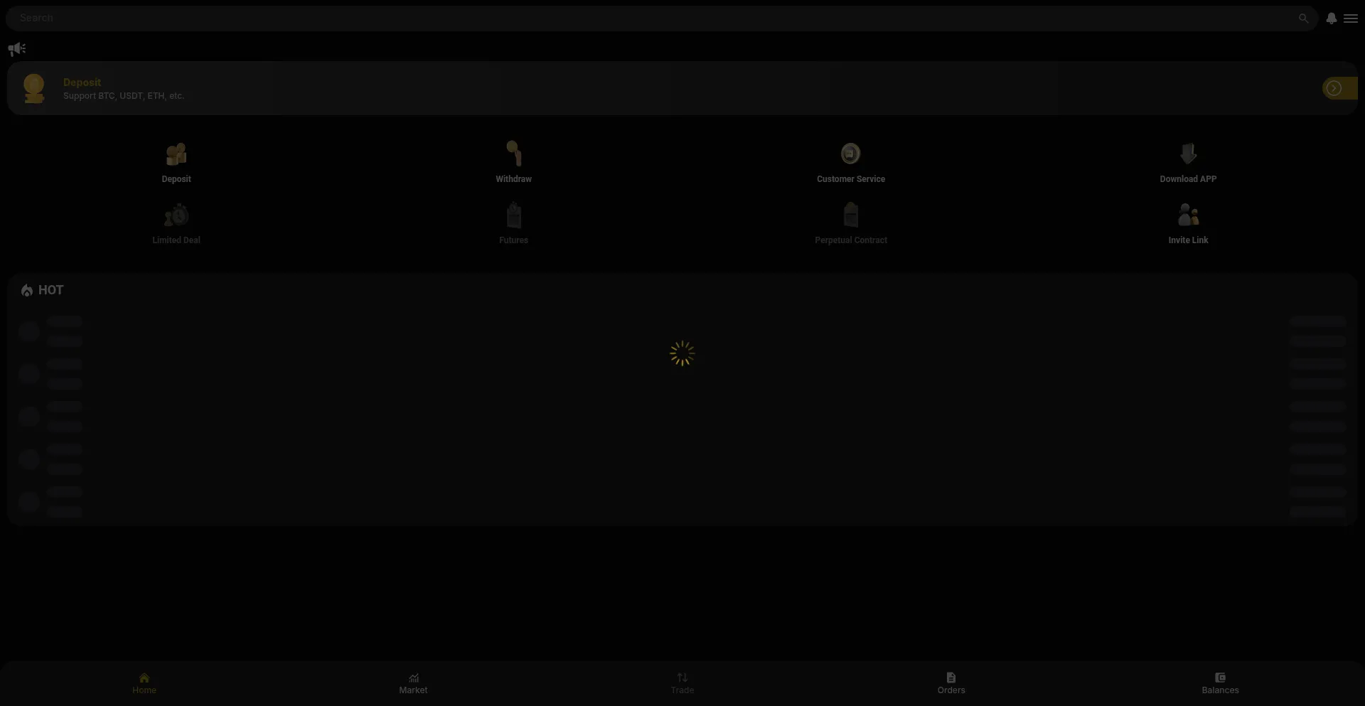 Website screenshot of Capitalcoinr.com