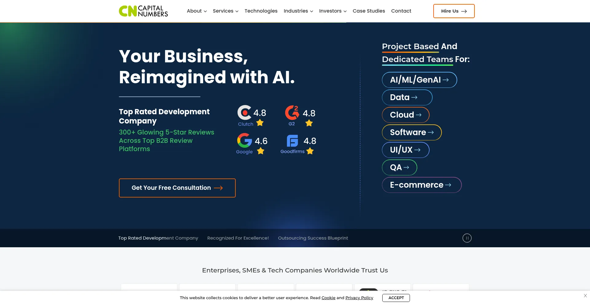Capitalnumbers.com Screenshot