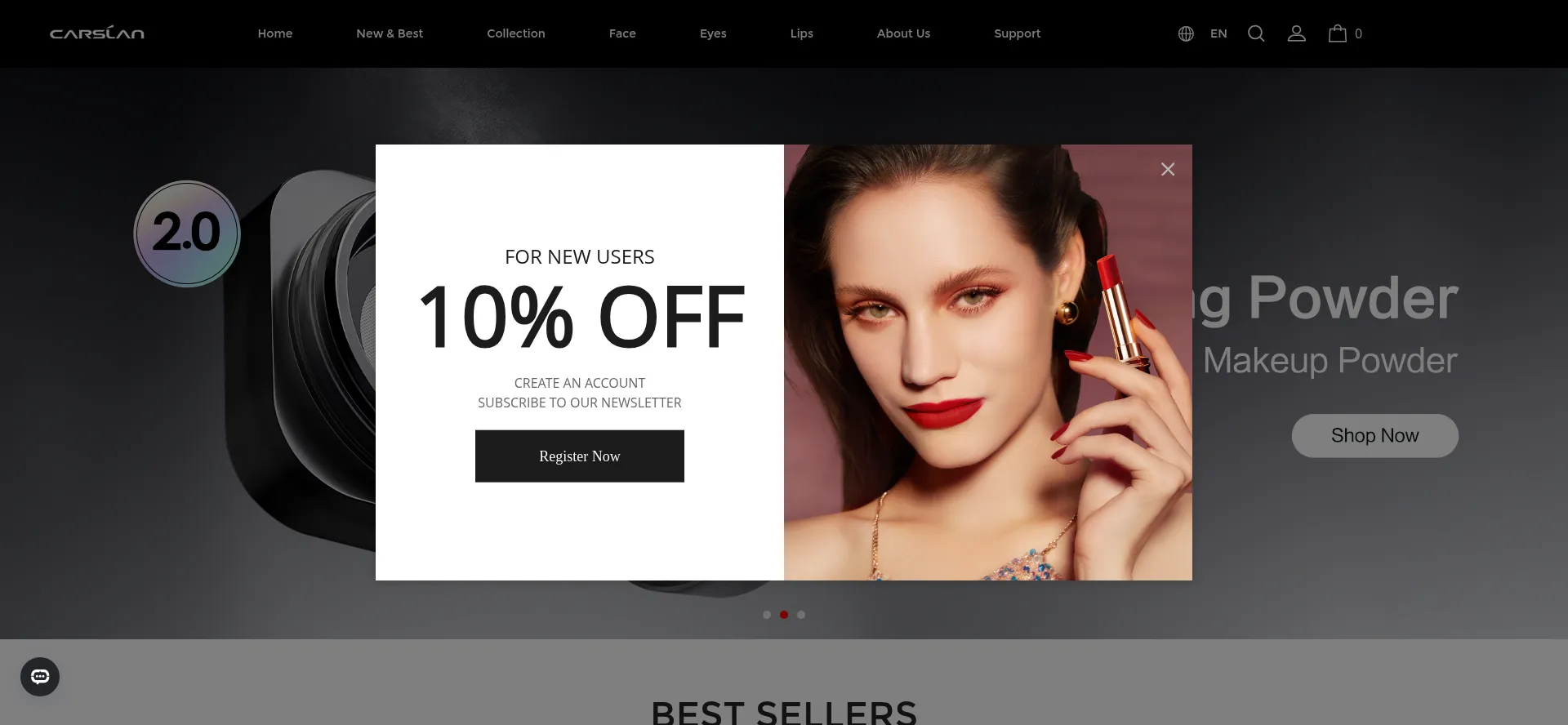 Website screenshot of Carslan.com