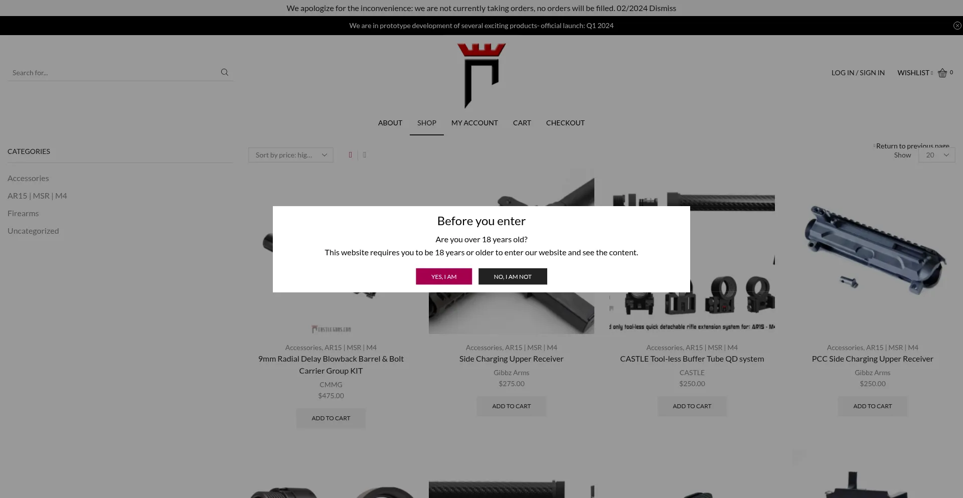 Website screenshot of Castleguns.com