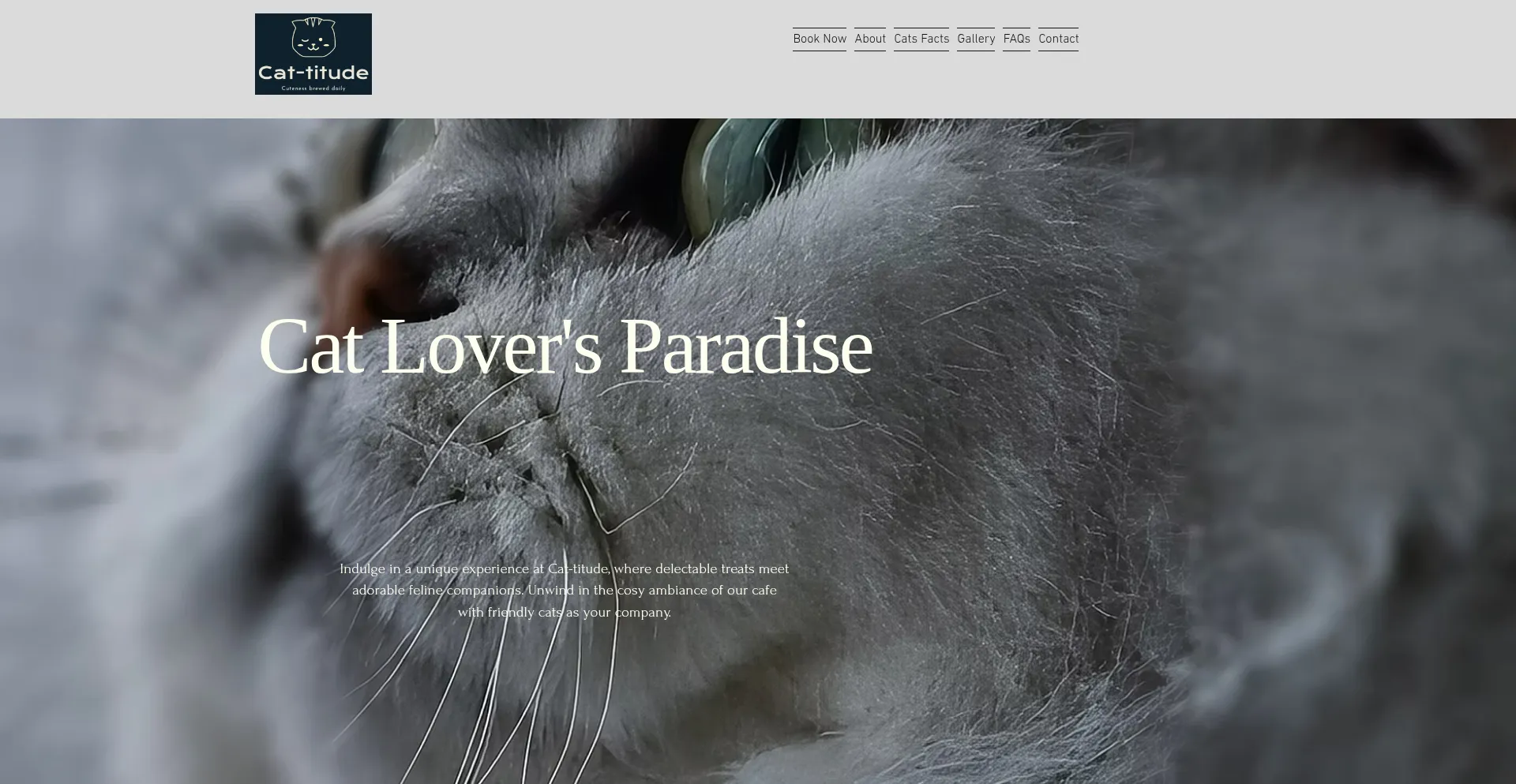 Cat-titude.co.uk est-il Sûr et Fiable ?