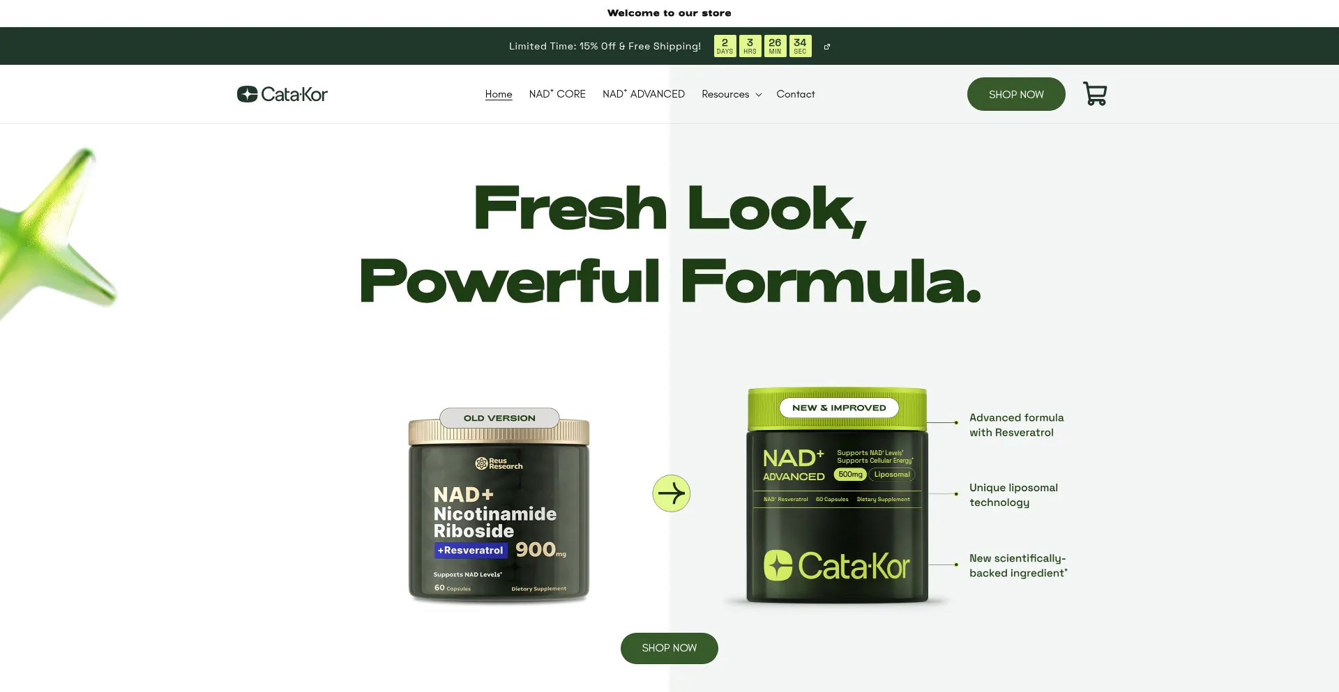 Website screenshot of Cata-kor.com