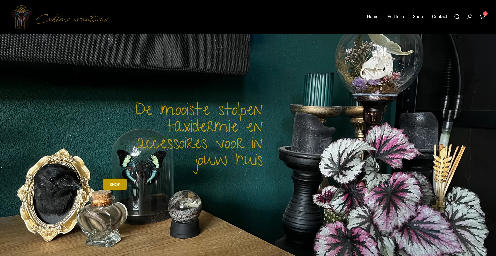 Cediescreations.nl