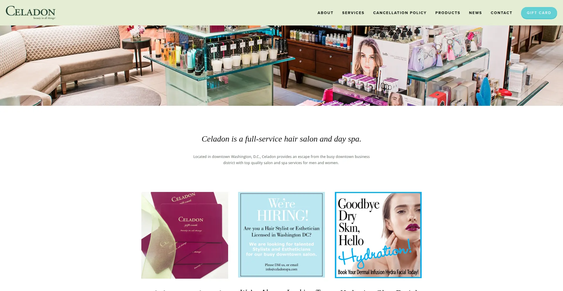 Website screenshot of Celadonspa.com