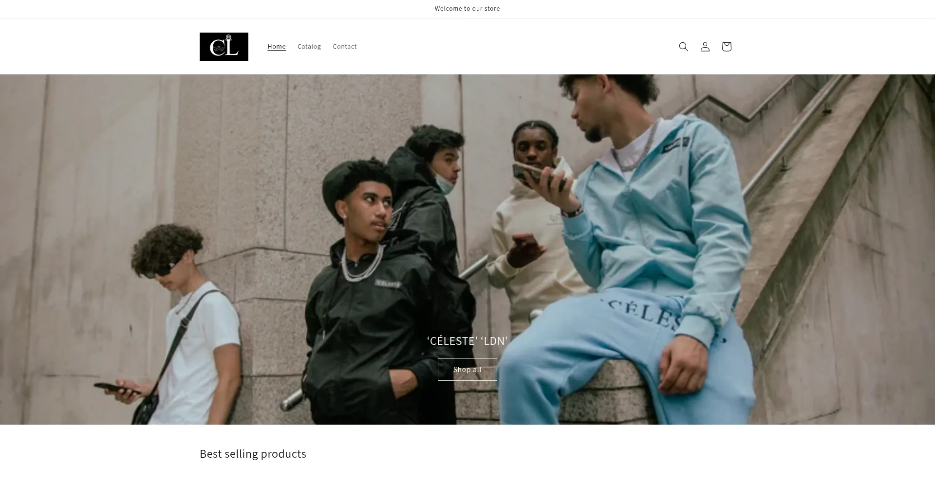 Website screenshot of Celesteldn.org