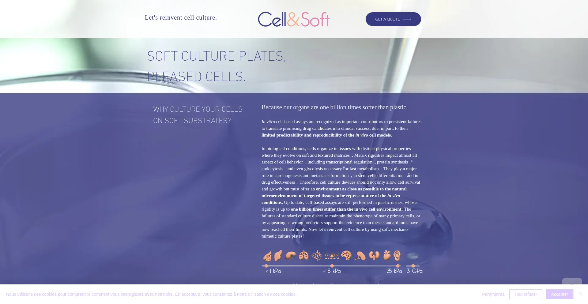 Cellandsoft.com