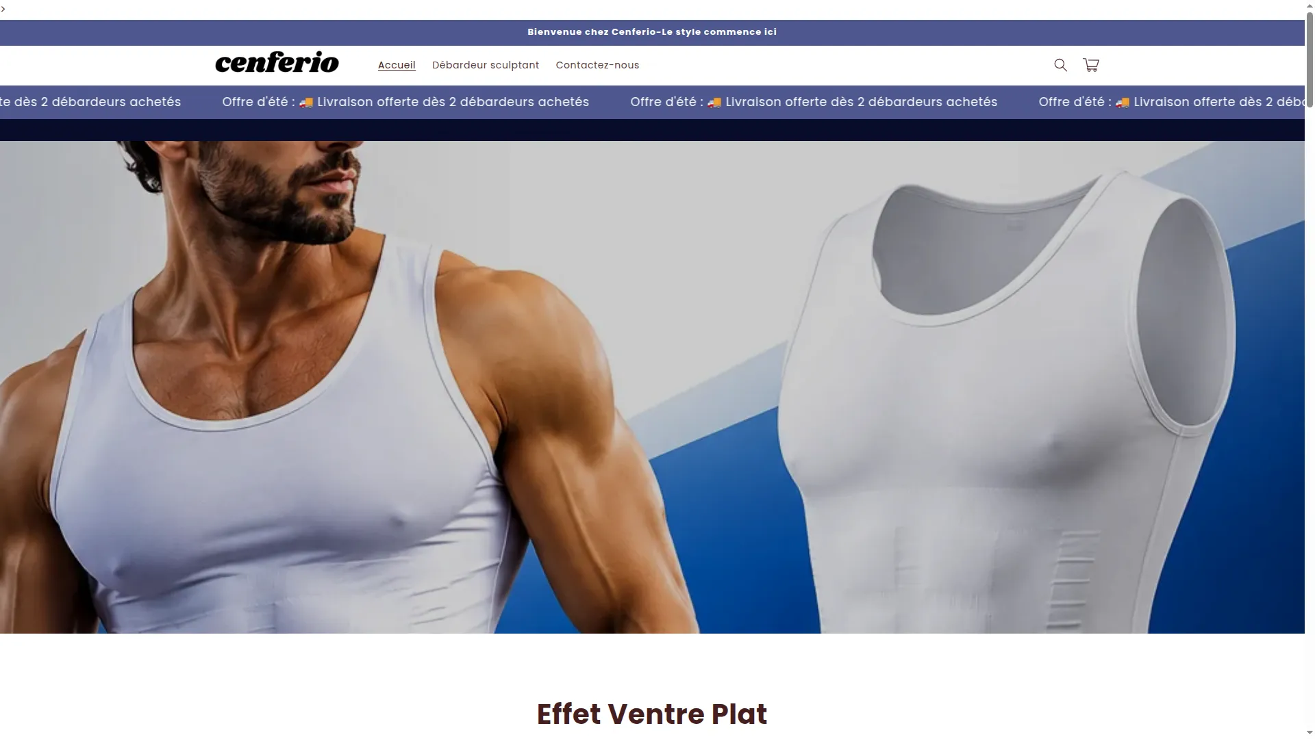 Cenferiostore.com