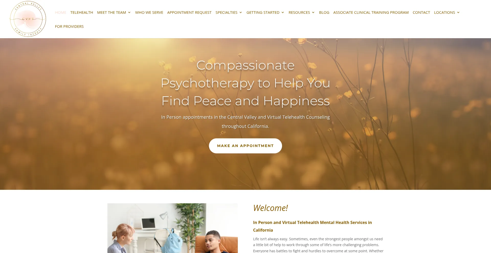 Centralvalleyfamilytherapy.com