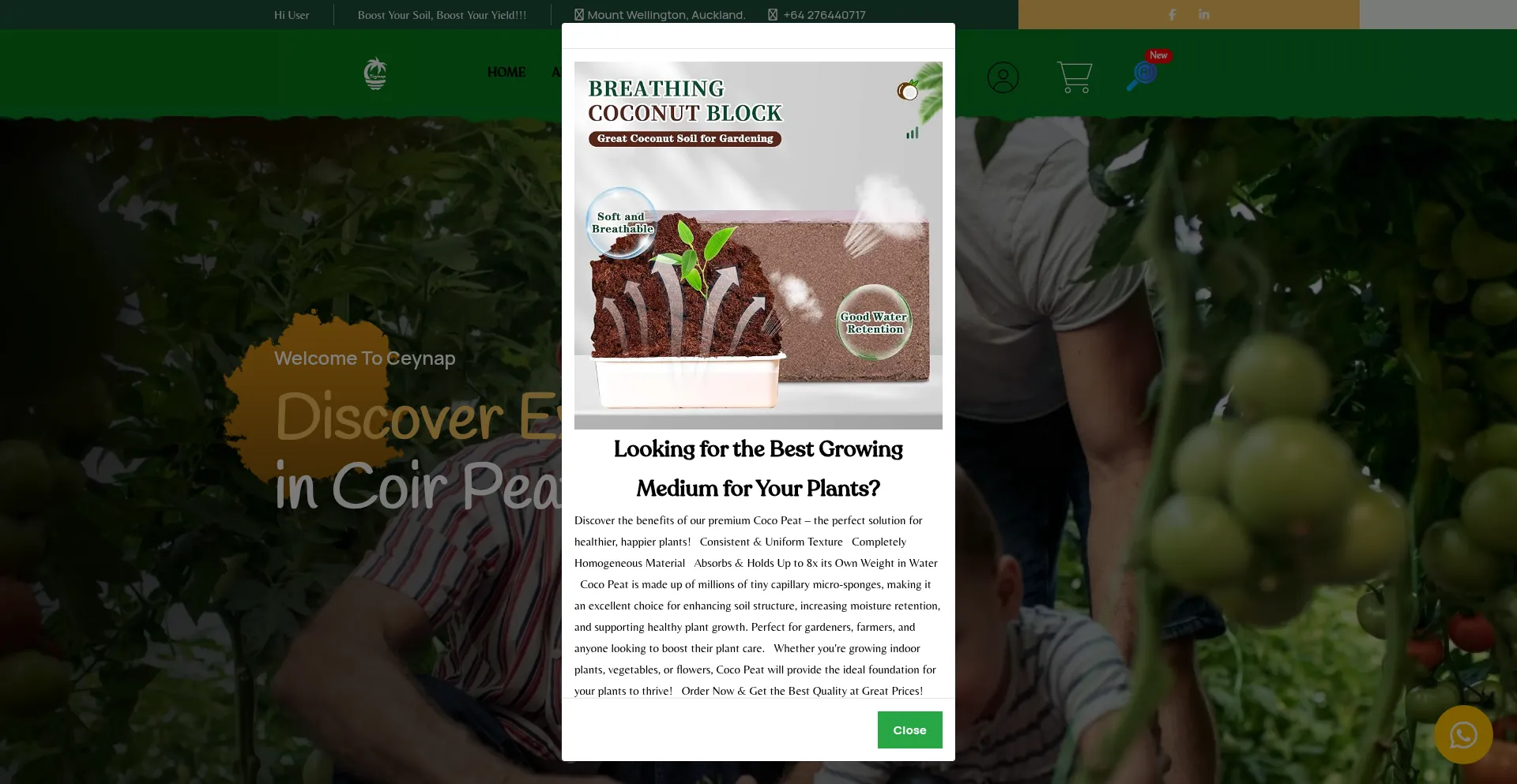 Website screenshot of Ceynap.co.nz