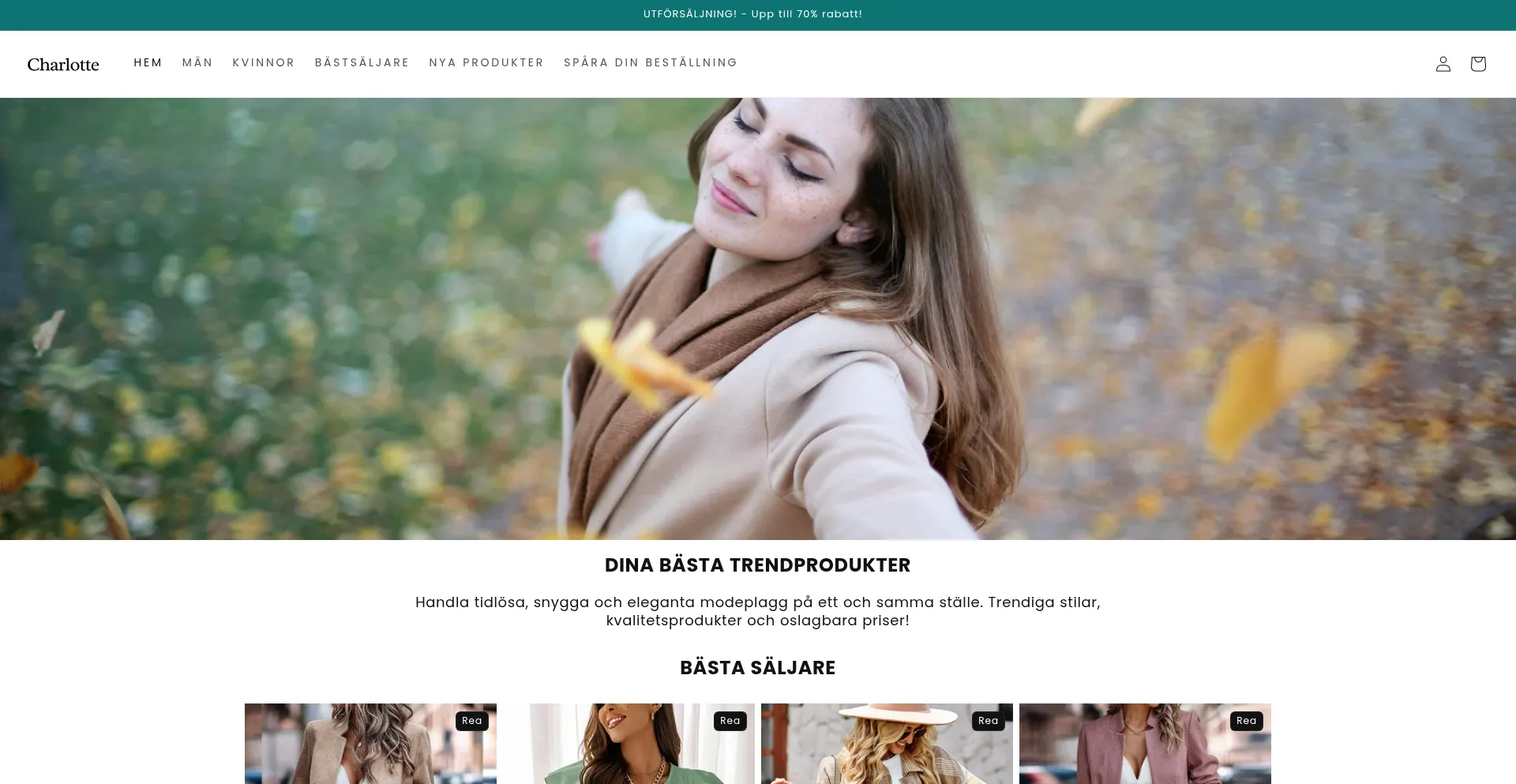 Website screenshot of Charlotte-outlet.com
