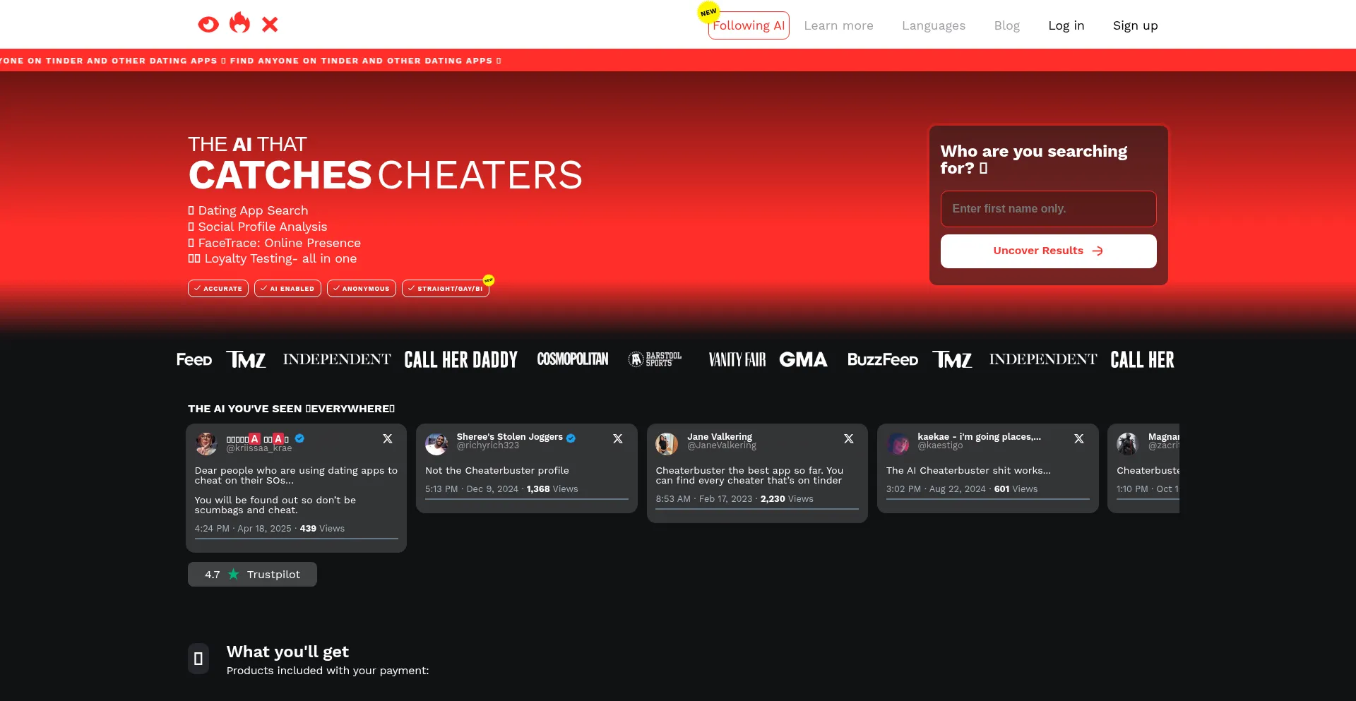 Website screenshot of Cheaterbuster.ai