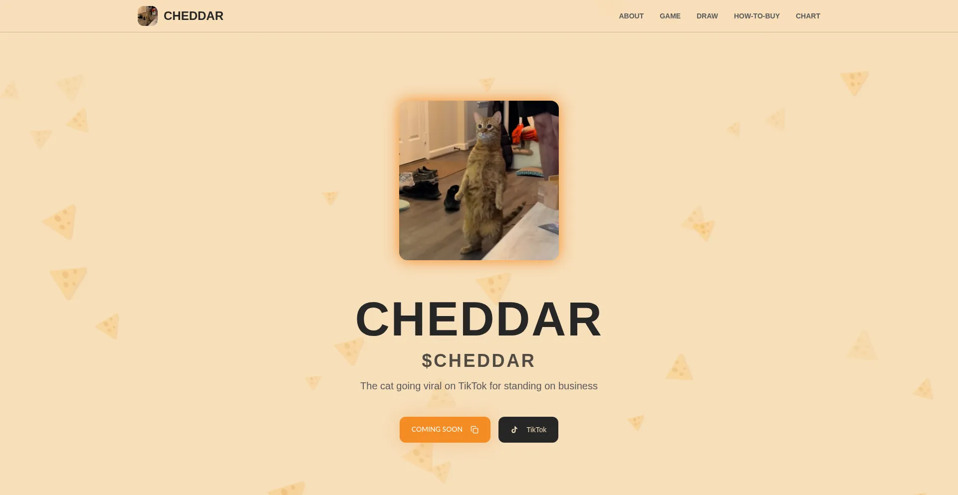 Cheddarcatsol.com