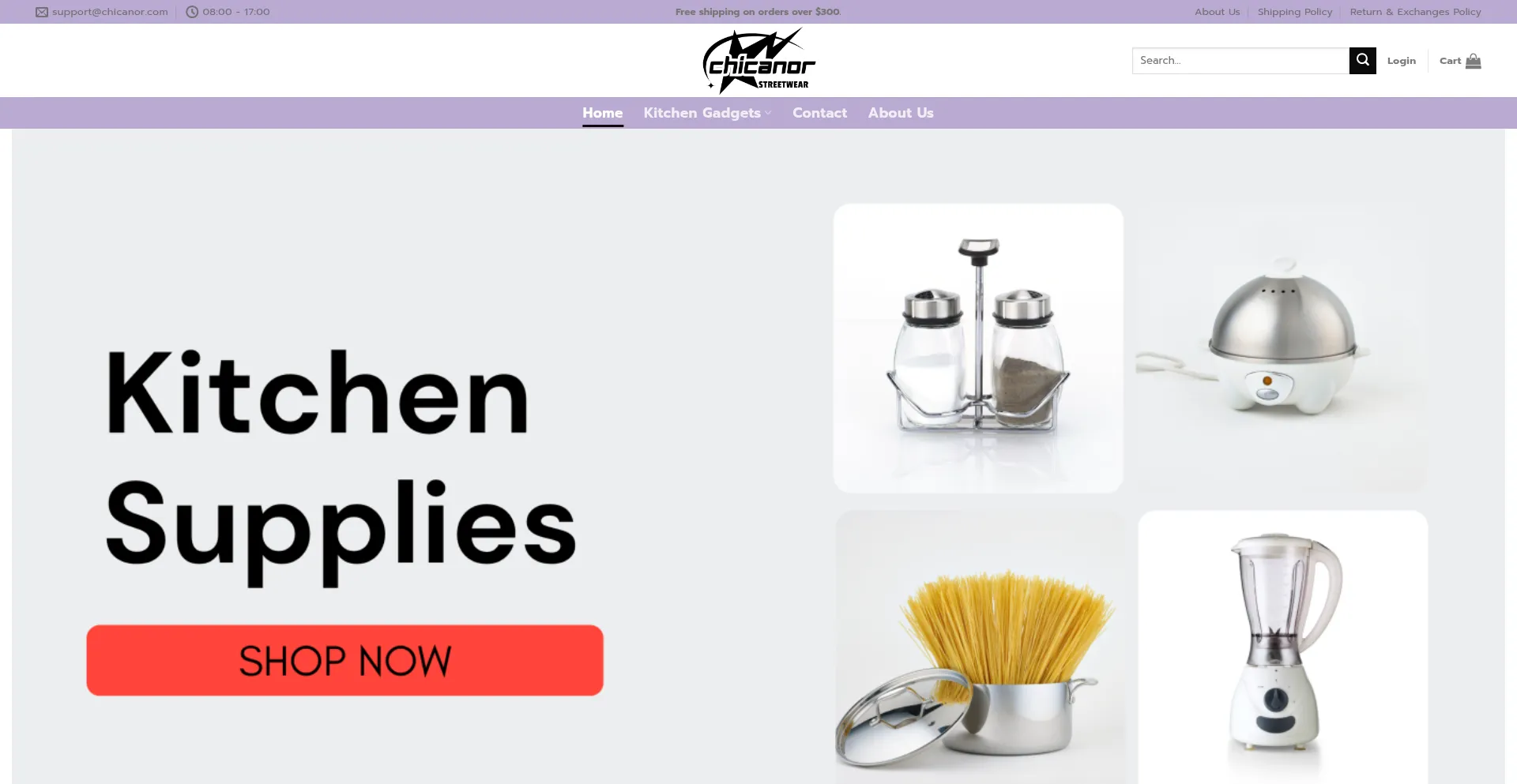 Website screenshot of Chicanor.com
