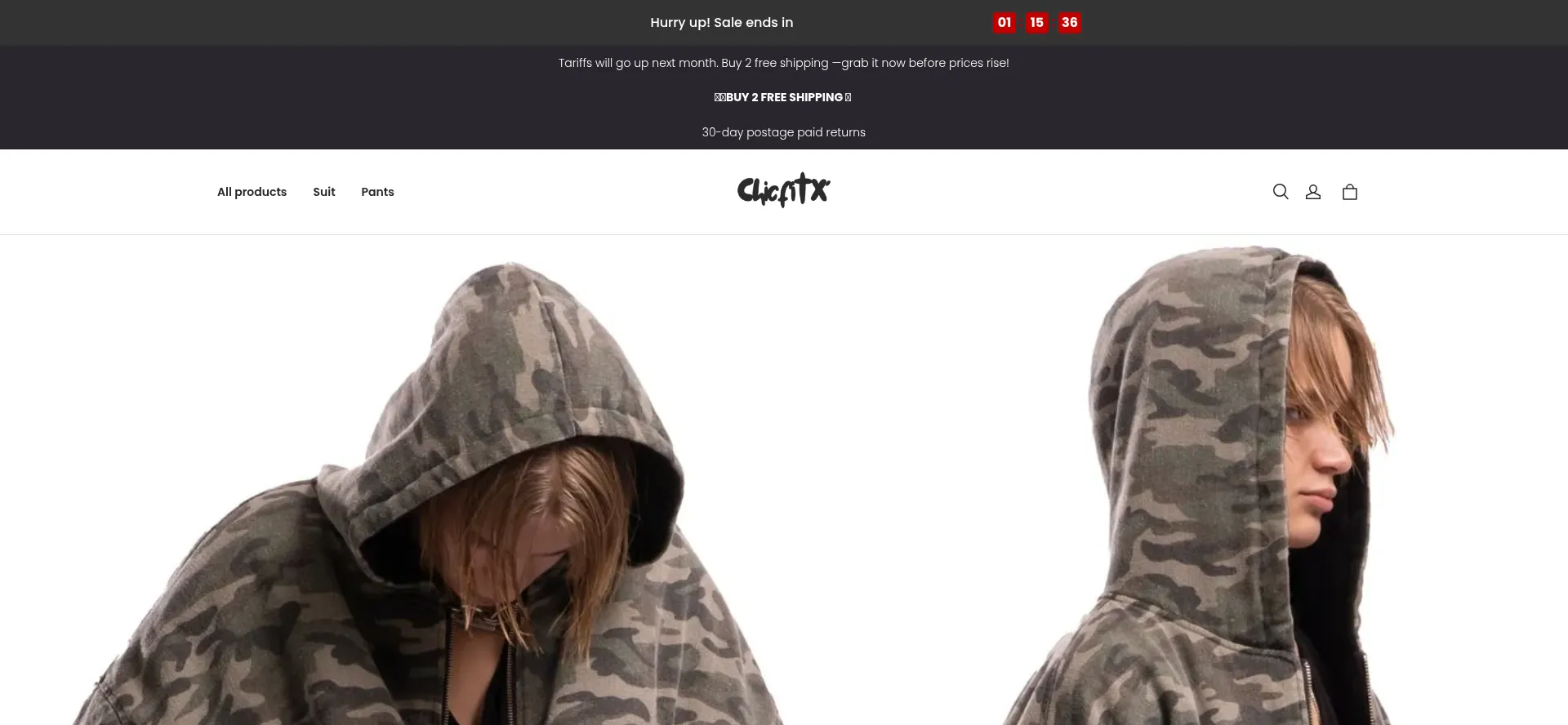 Website screenshot of Chicfitx.com
