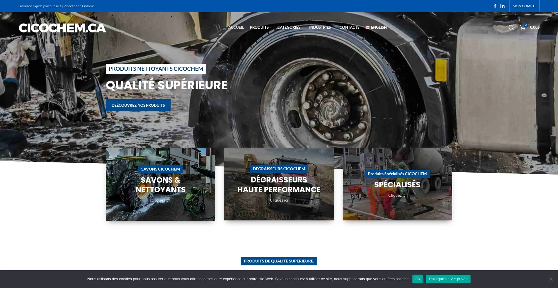 Website screenshot of Cicochem.ca