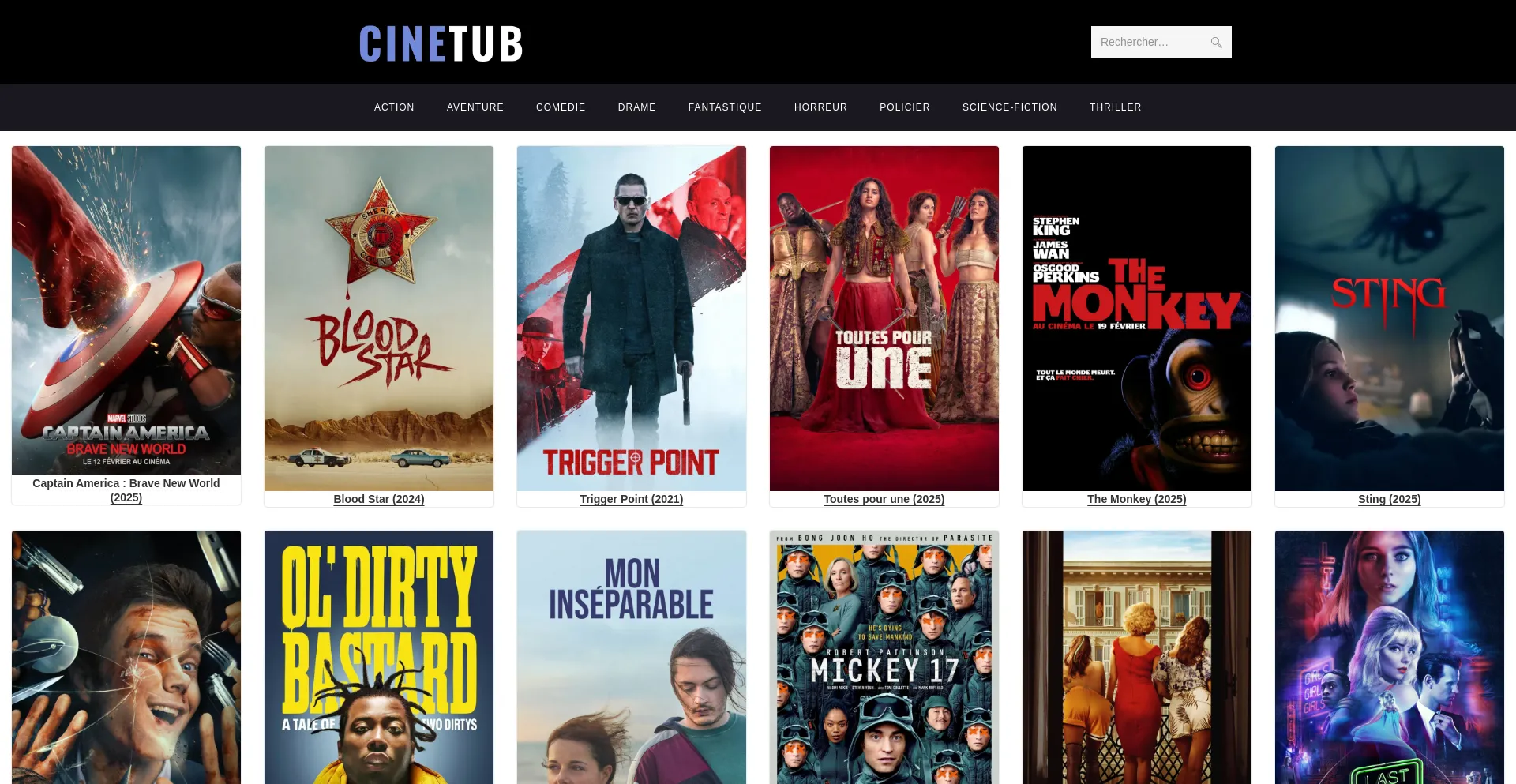 Website screenshot of Cinetub.com