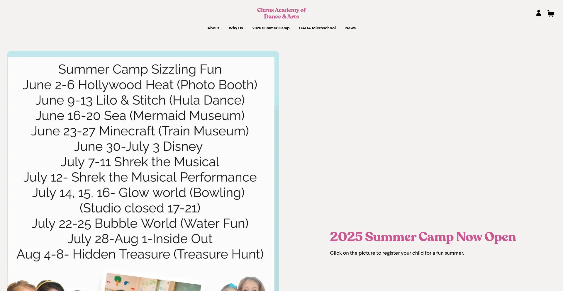 Website screenshot of Citrusdancearts.net