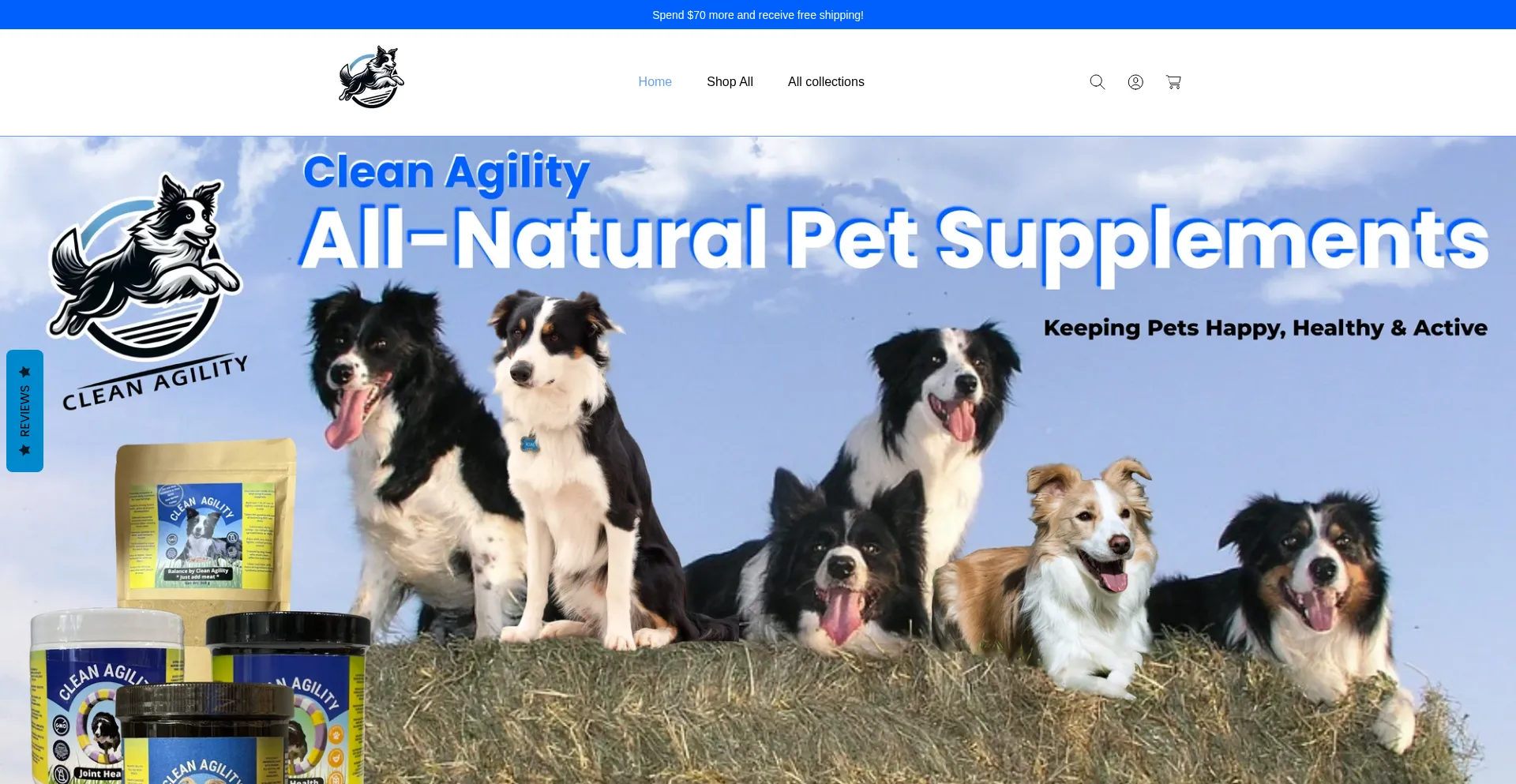 Clean-agility.com
