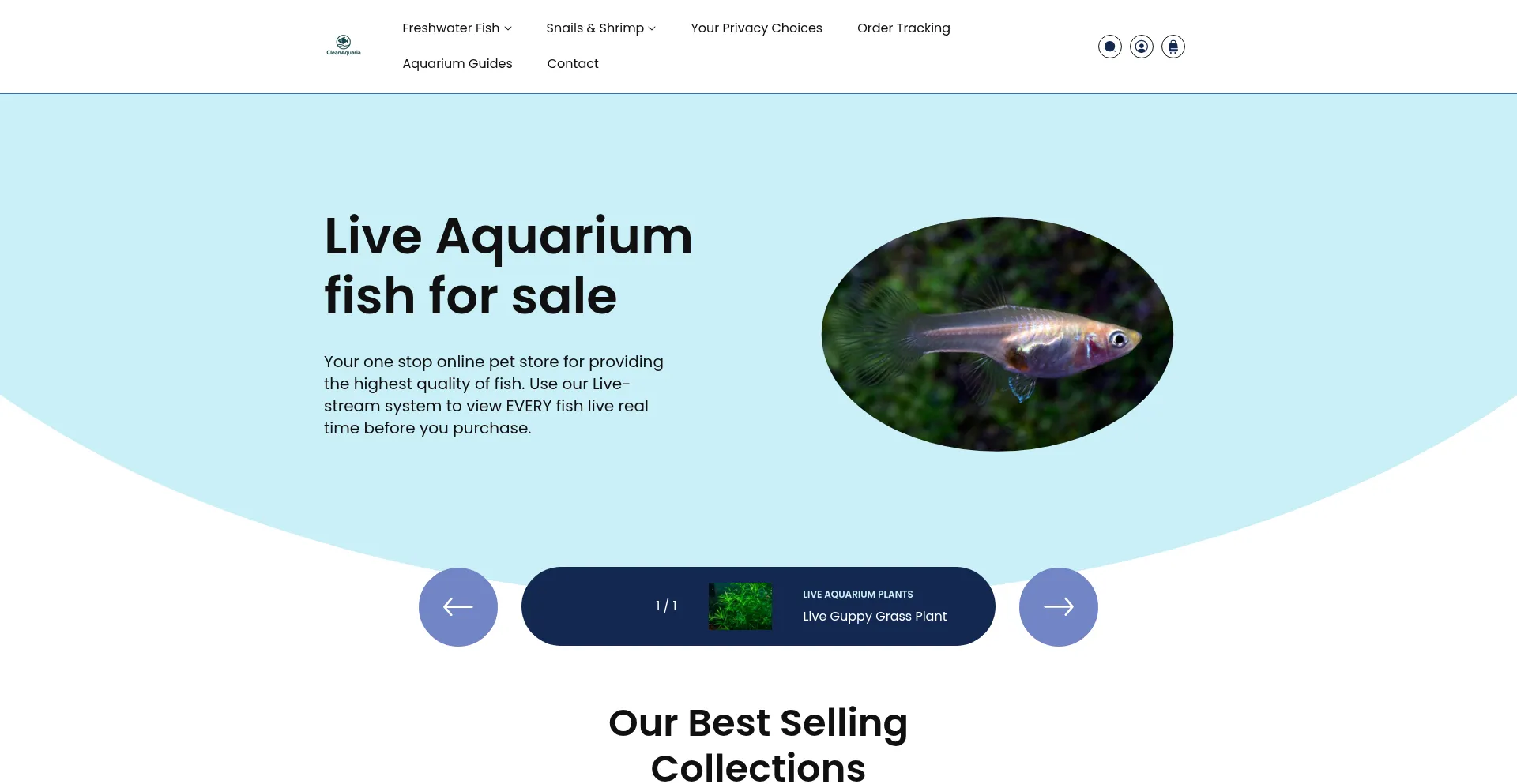 Cleanaquaria.com
