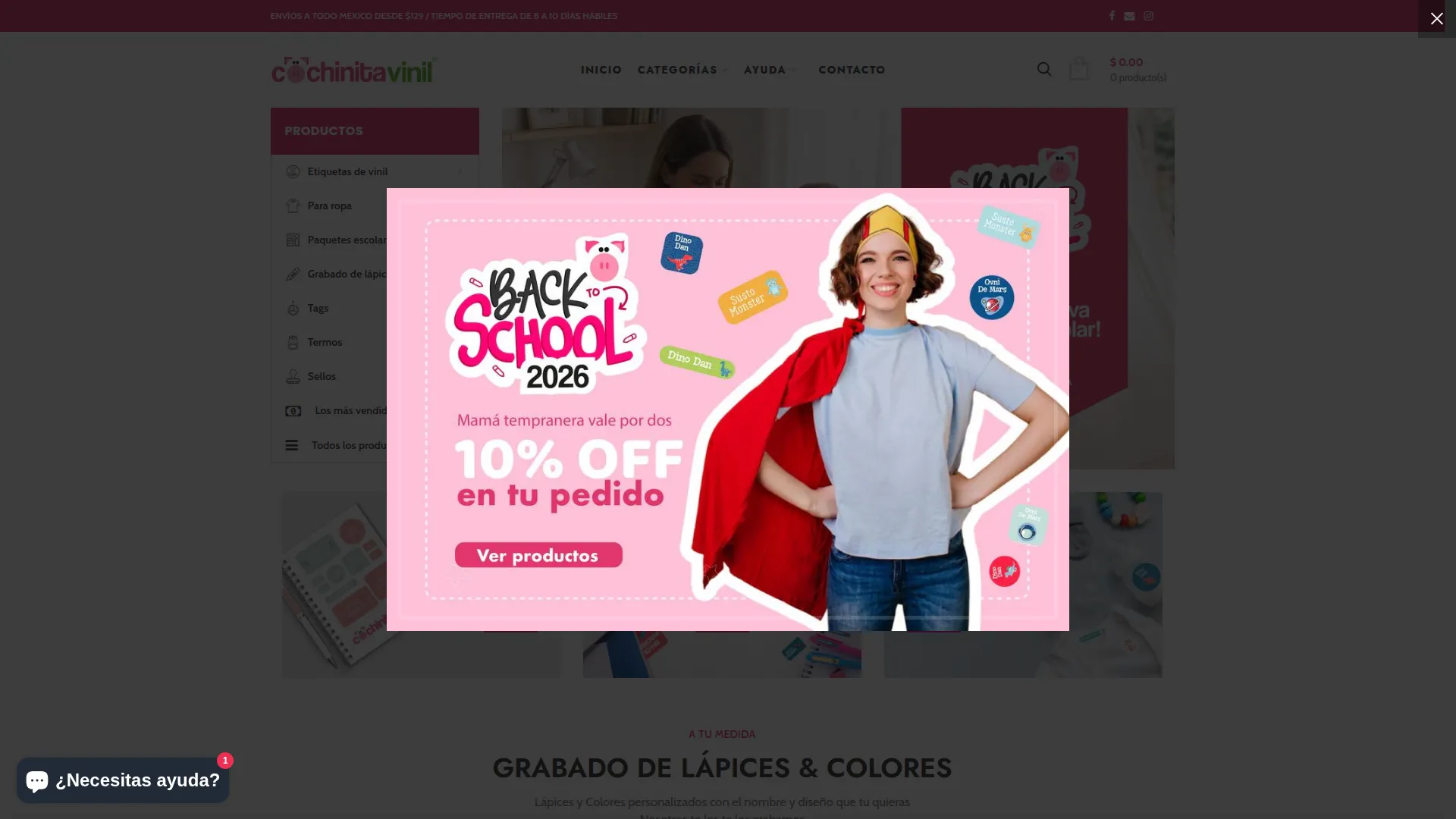 Cochinitavinil.com