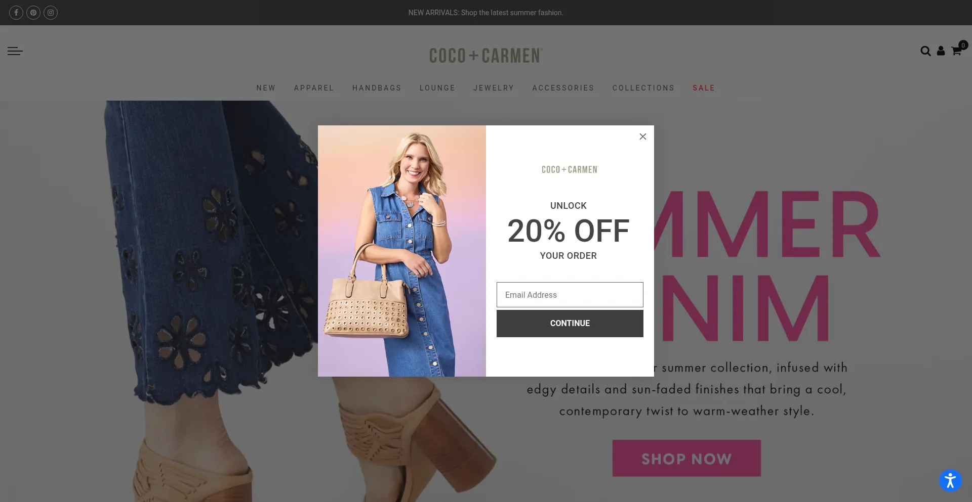 Website screenshot of Cocoandcarmen.com