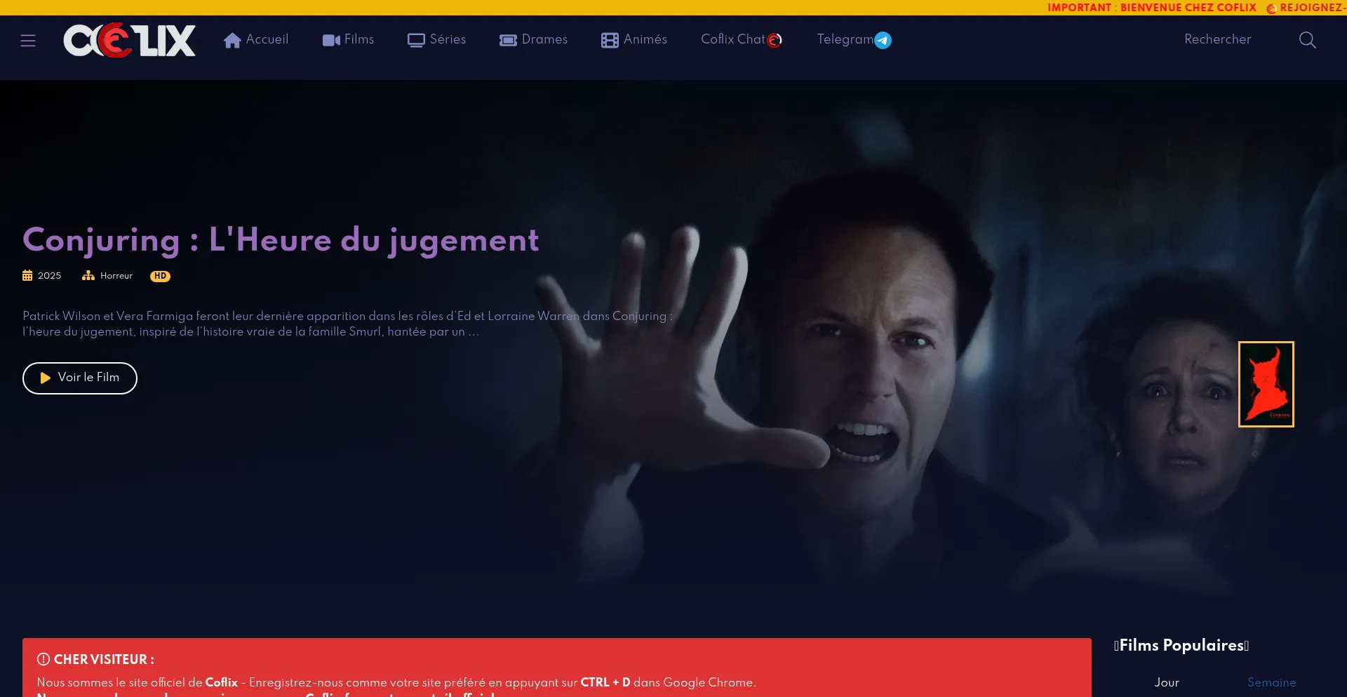 Coflix.tel est-il Sûr et Fiable ?