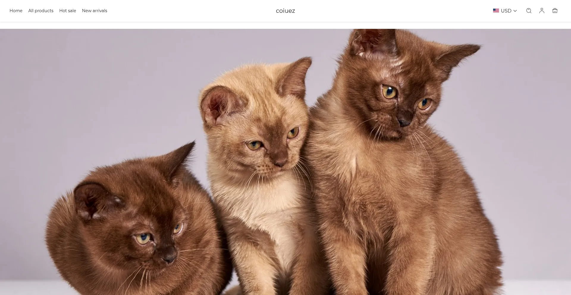 Website screenshot of Coiuez.com