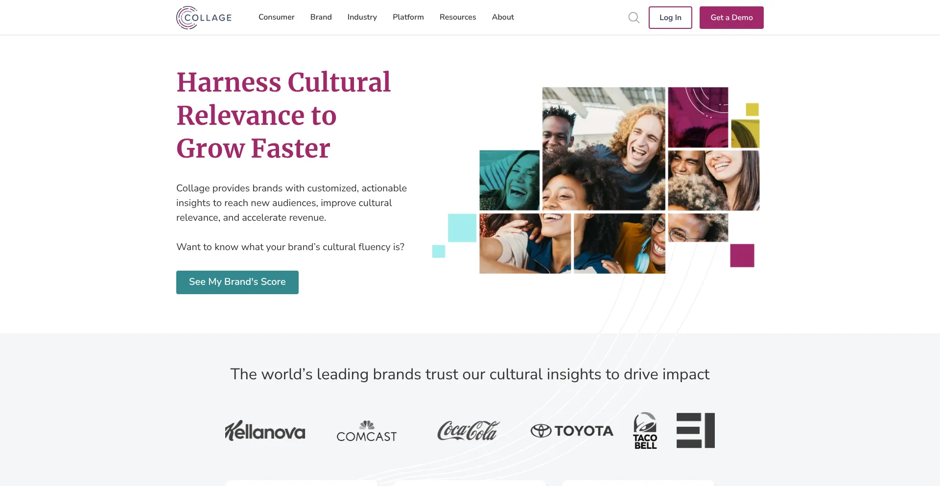 Website screenshot of Collagegroup.com