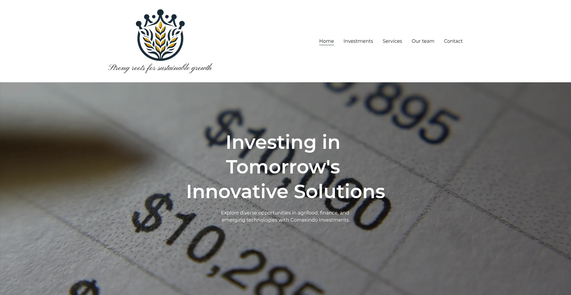 Website screenshot of Comexindo-investments.com