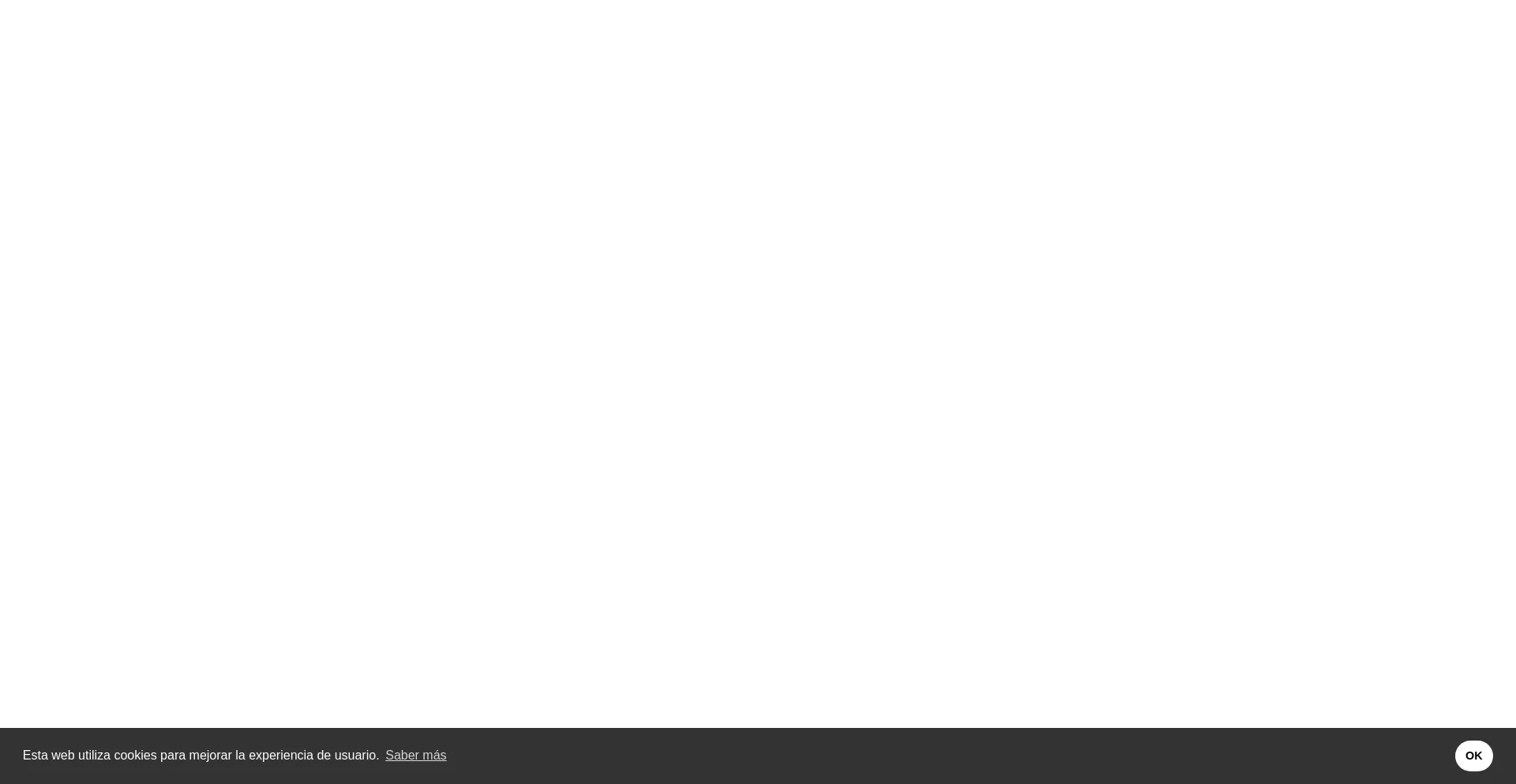Website screenshot of Conectpadel.com